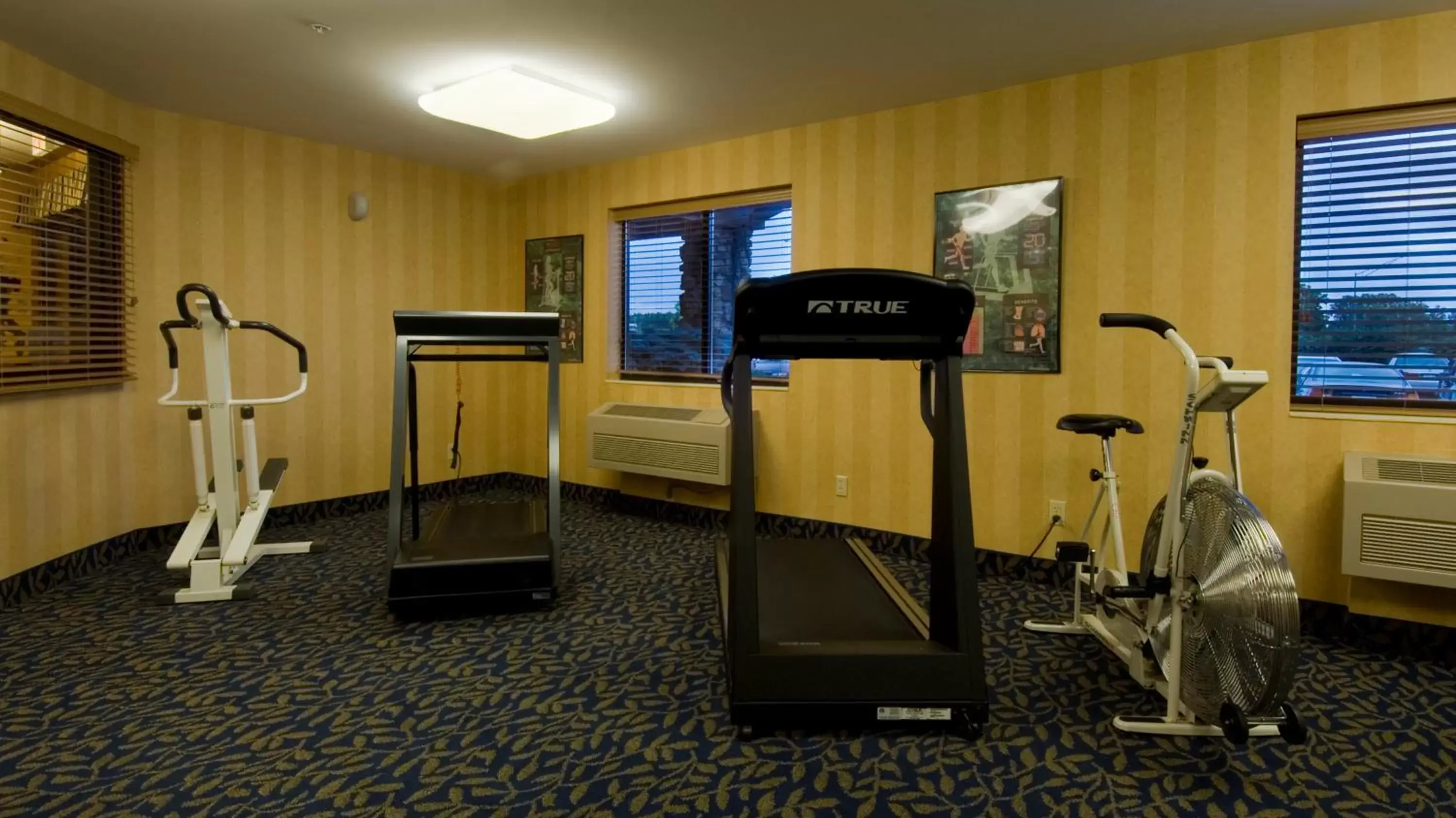 Fitness centre/facilities, Fitness Center/Facilities in SureStay Plus by Best Western Fremont I-69