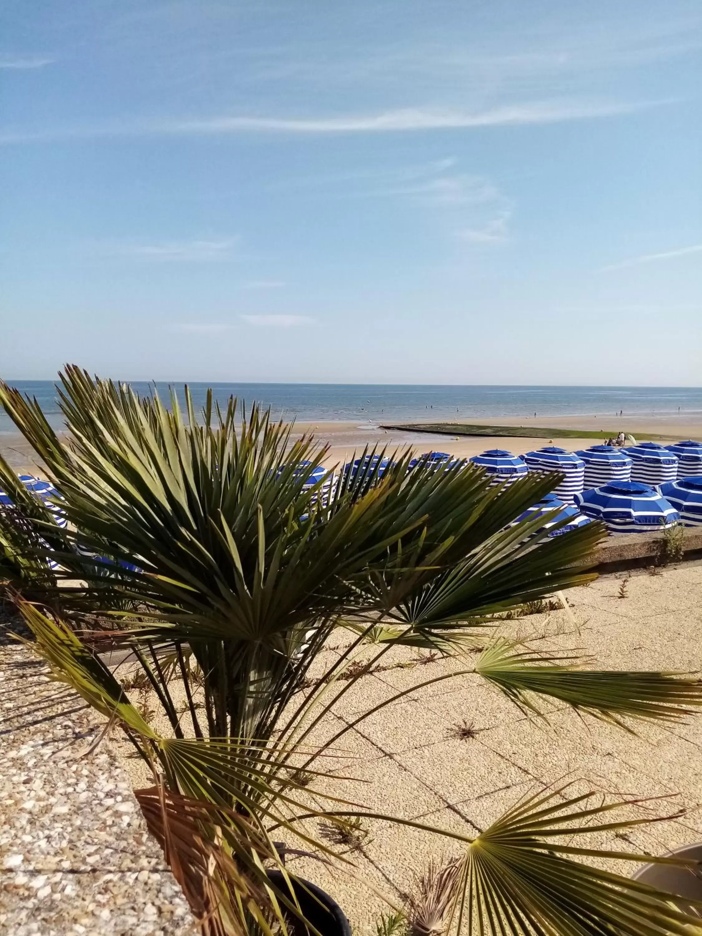 O Douceurs Sucrées Cabourg