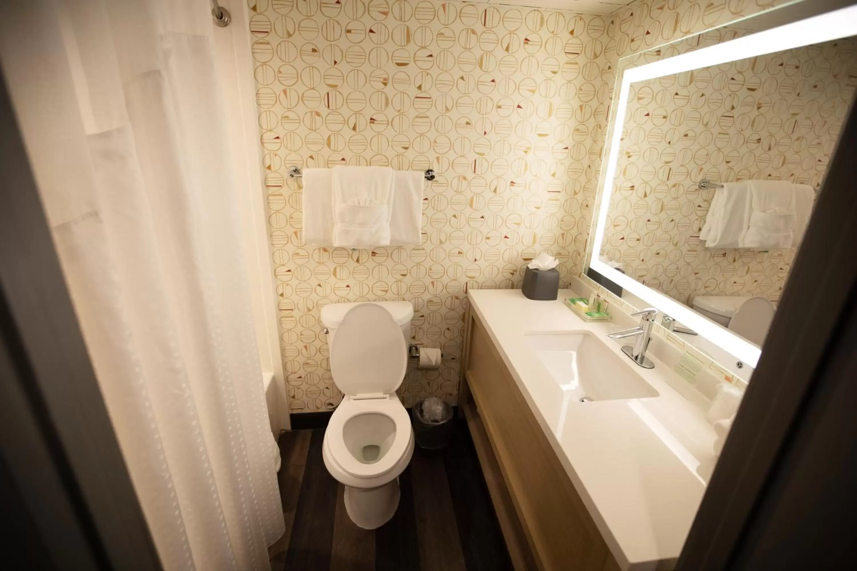 Bathroom in Holiday Inn Houston Hobby Airport, an IHG Hotel