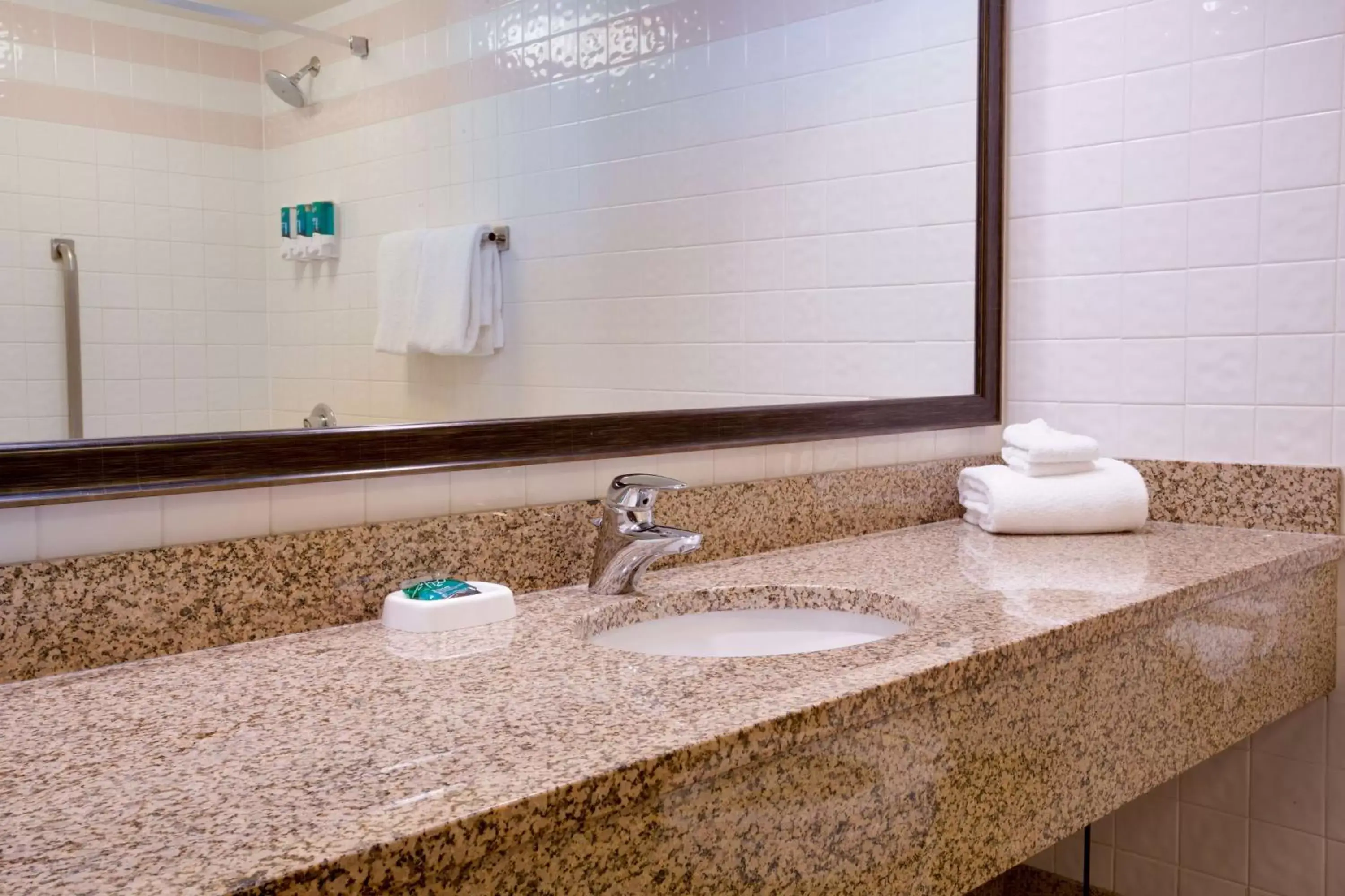 Bathroom in Drury Inn & Suites St. Louis Convention Center