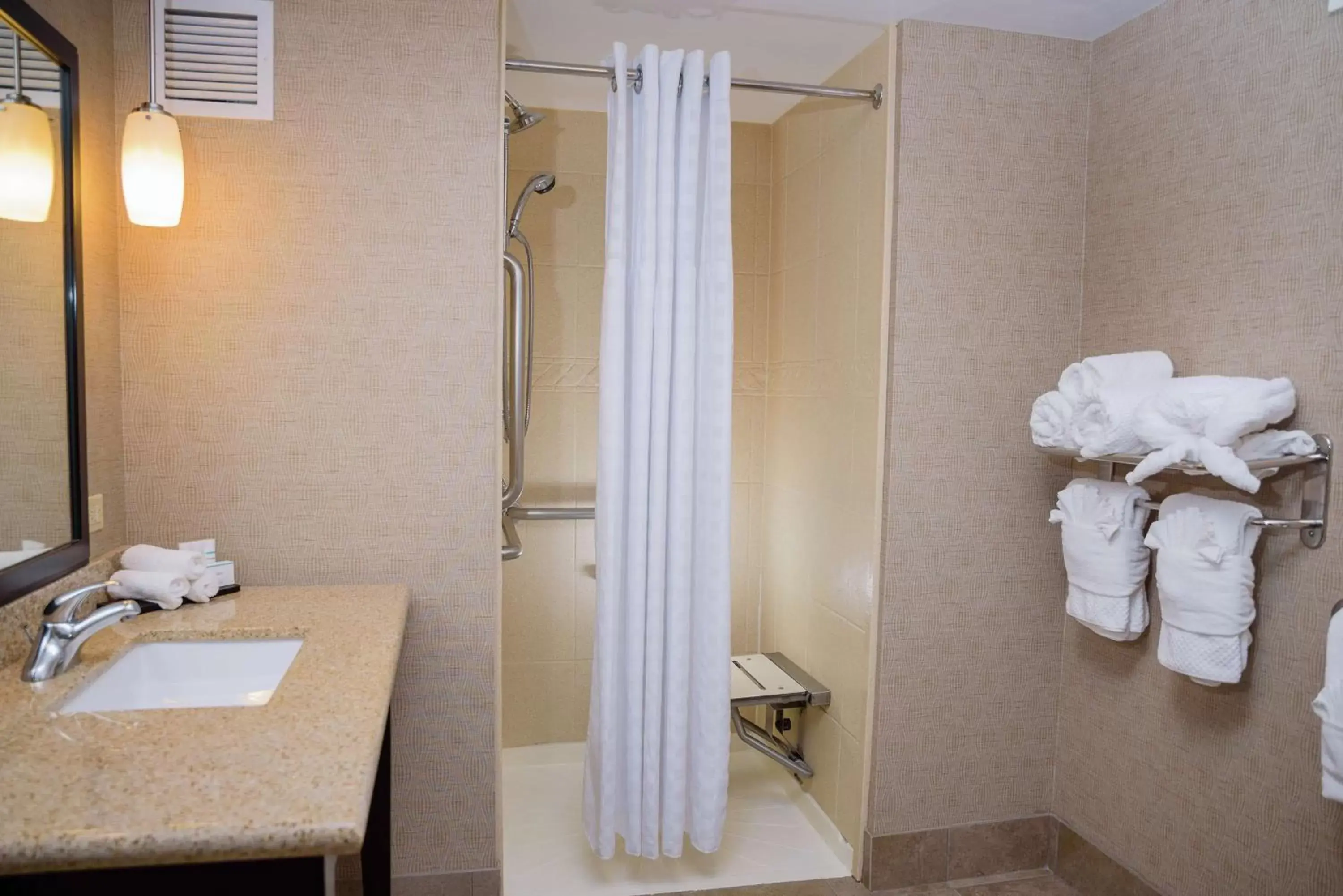 Bathroom in Embassy Suites by Hilton Minneapolis North