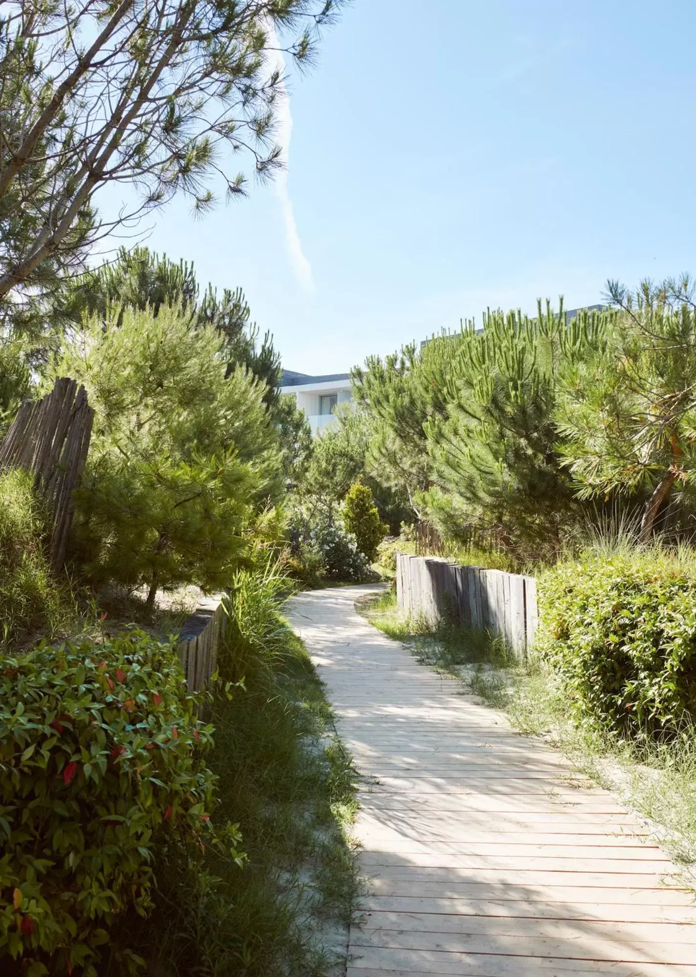 Natural landscape in Hôtel Plage Palace & Spa