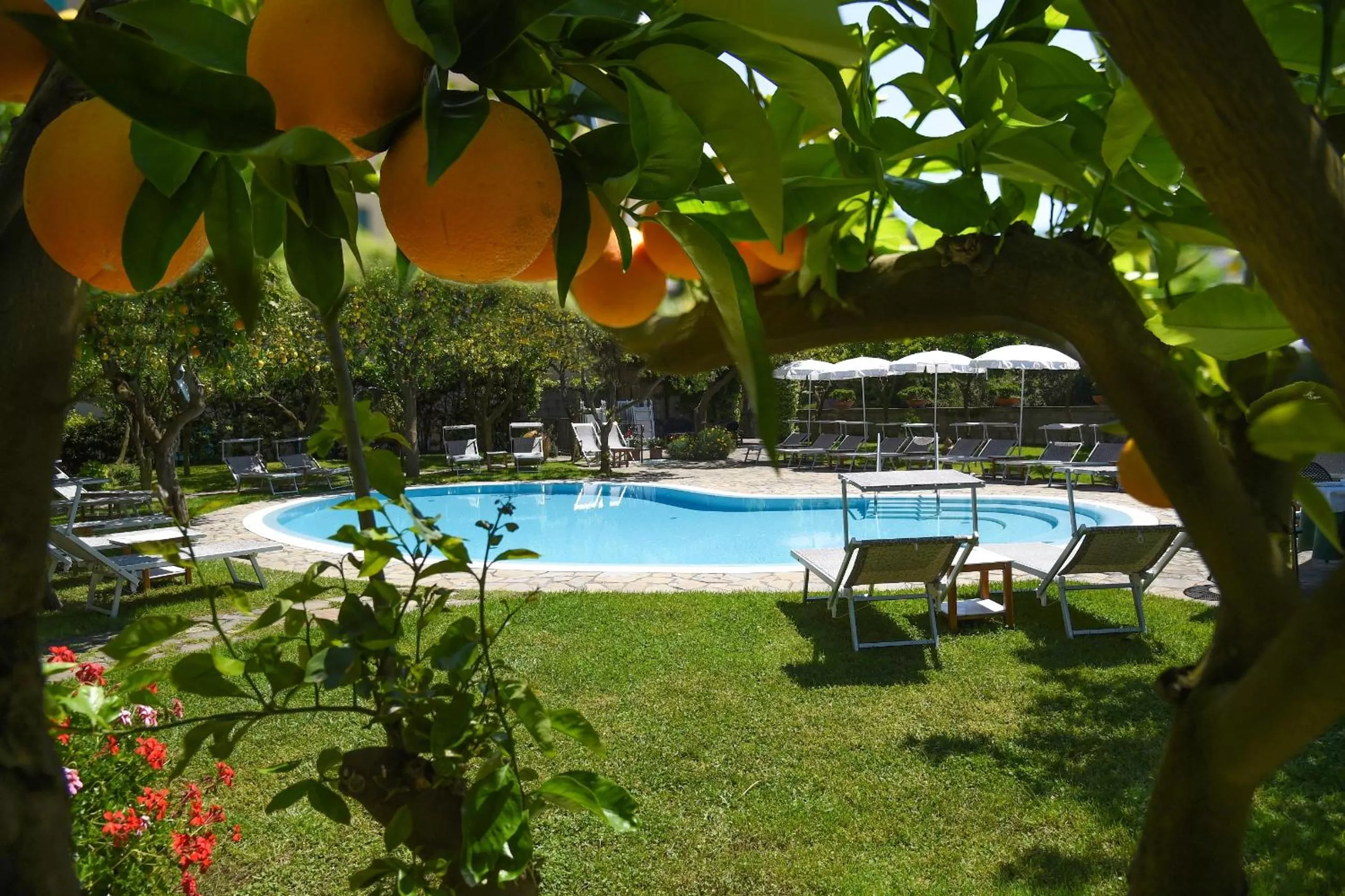  in Hotel Antiche Mura