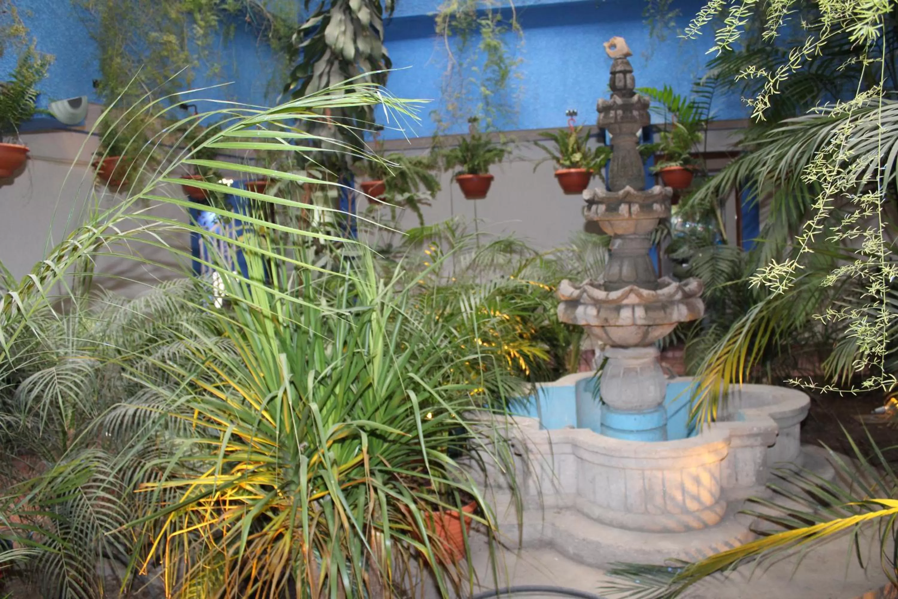 Garden view in hotel kasa kamelot 2