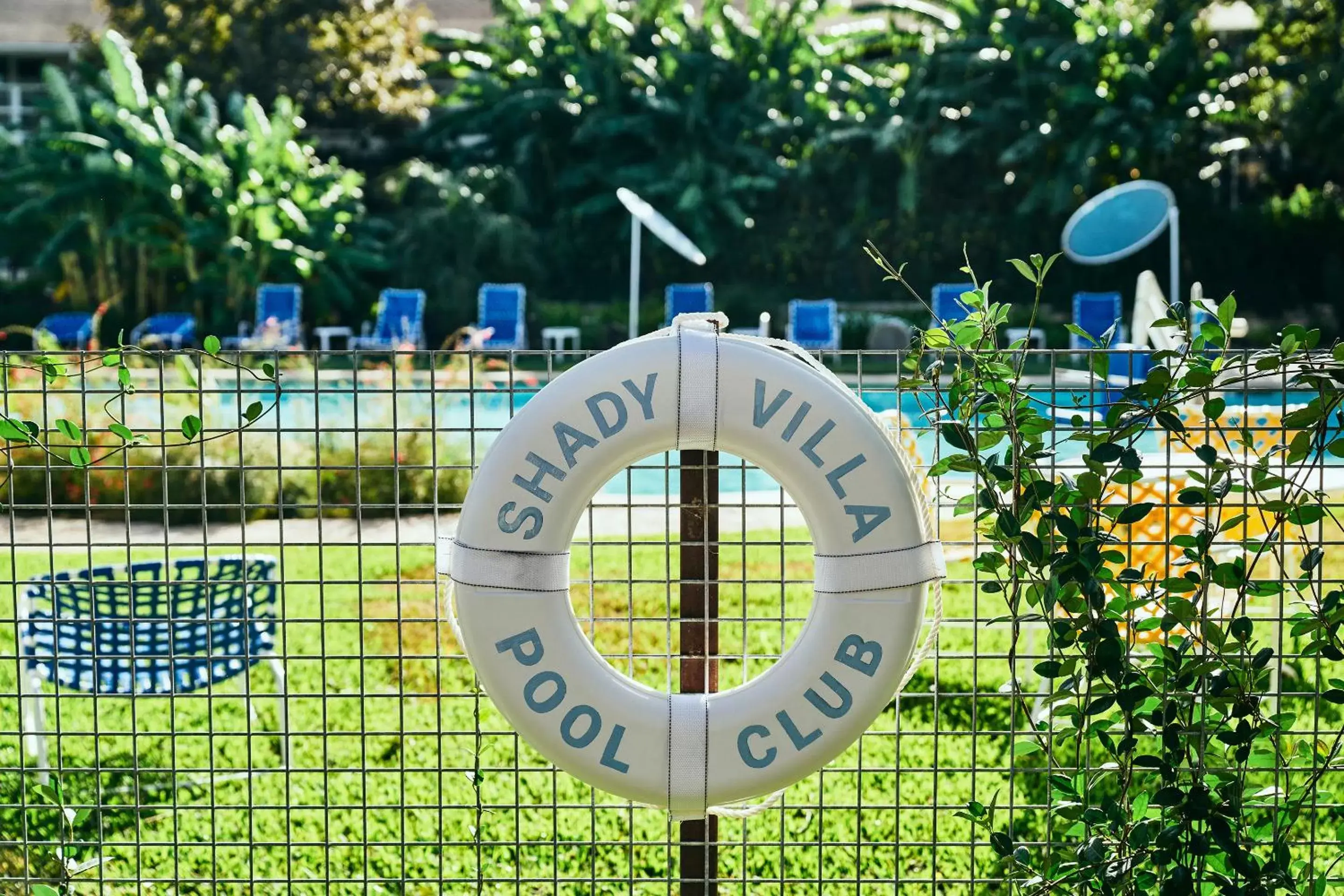Swimming pool in Shady Villa Hotel