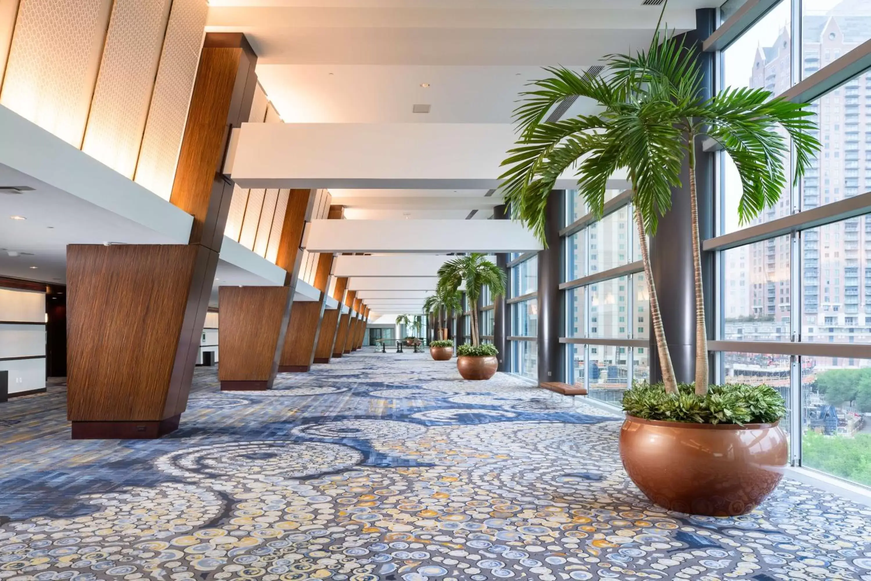 Meeting/conference room, Lobby/Reception in Hilton Americas- Houston