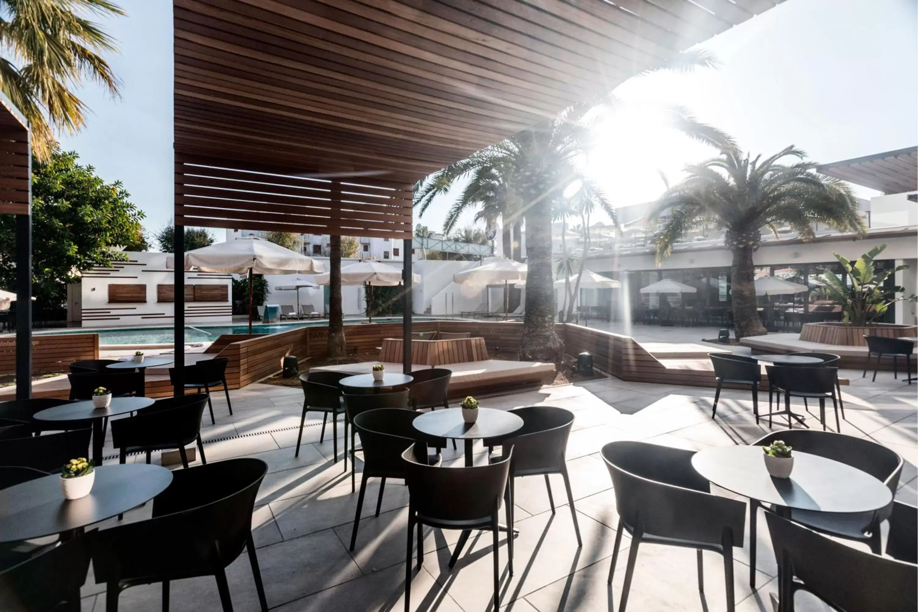 Lounge or bar, Restaurant/Places to Eat in Bordoy Alcudia Port Suites