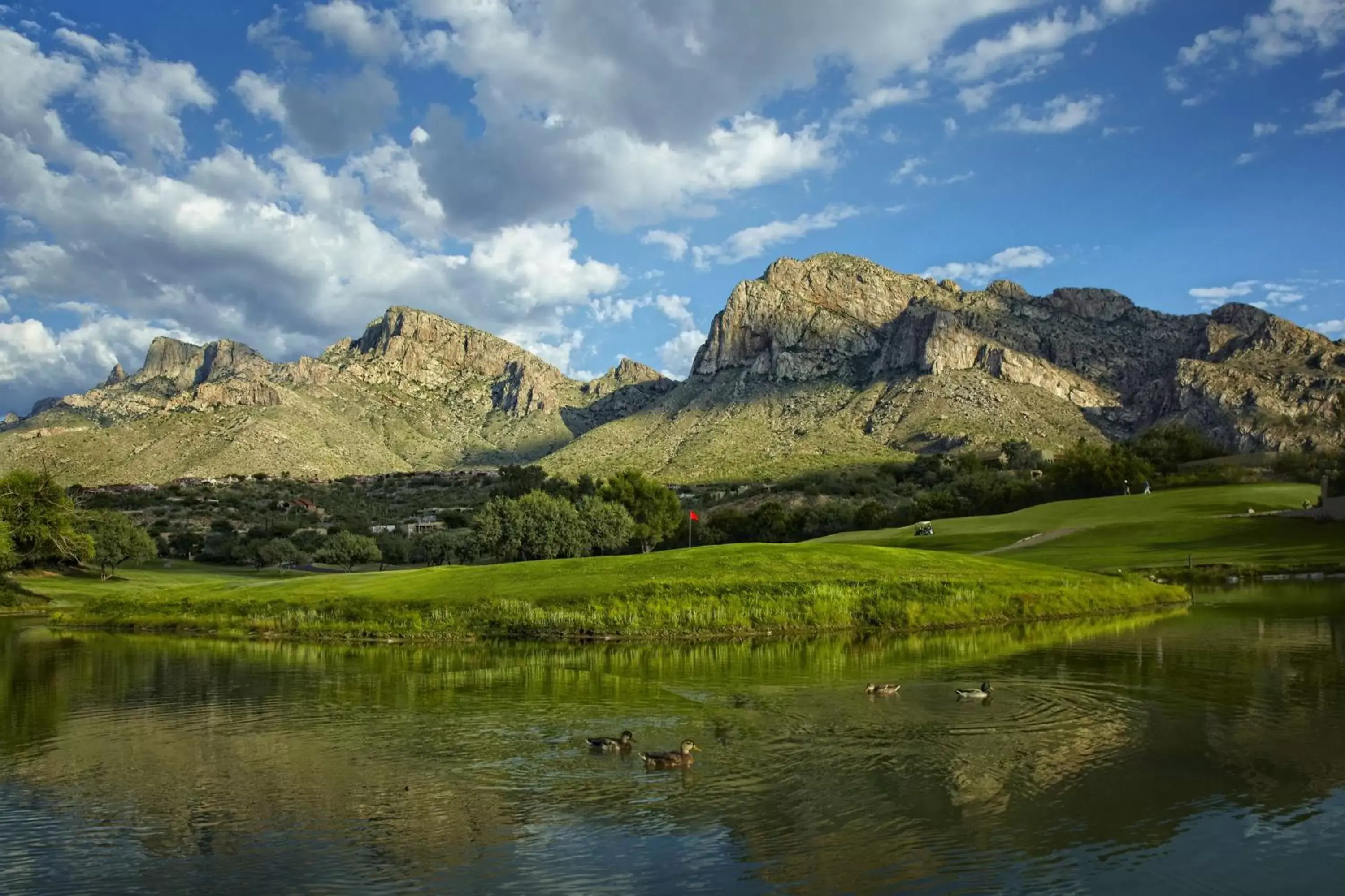 Sports, Natural Landscape in El Conquistador Tucson, A Hilton Resort