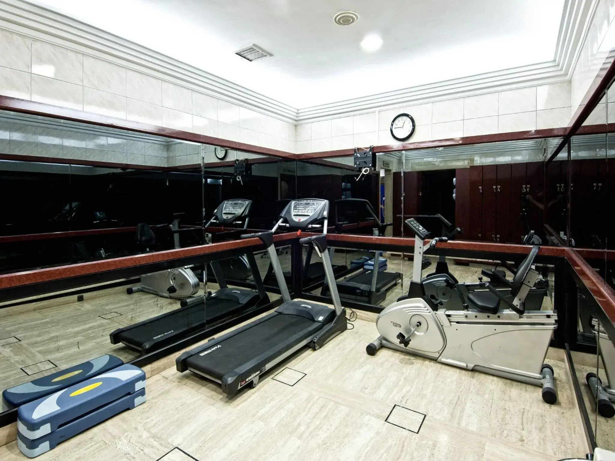 Fitness centre/facilities, Fitness Center/Facilities in Grand Star Hotel Bosphorus & Spa