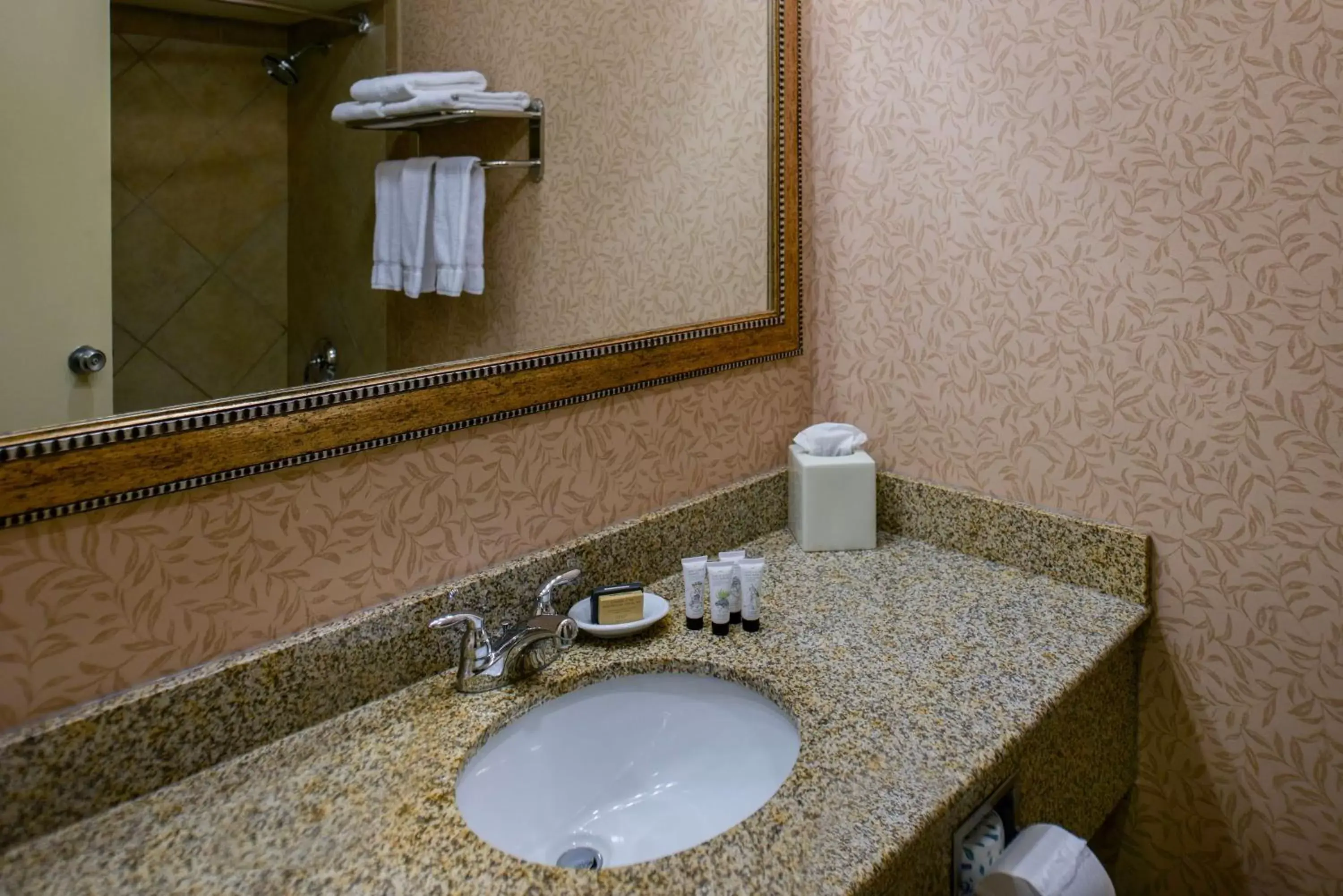 Bathroom in Red Lion Hotel Port Angeles Harbor