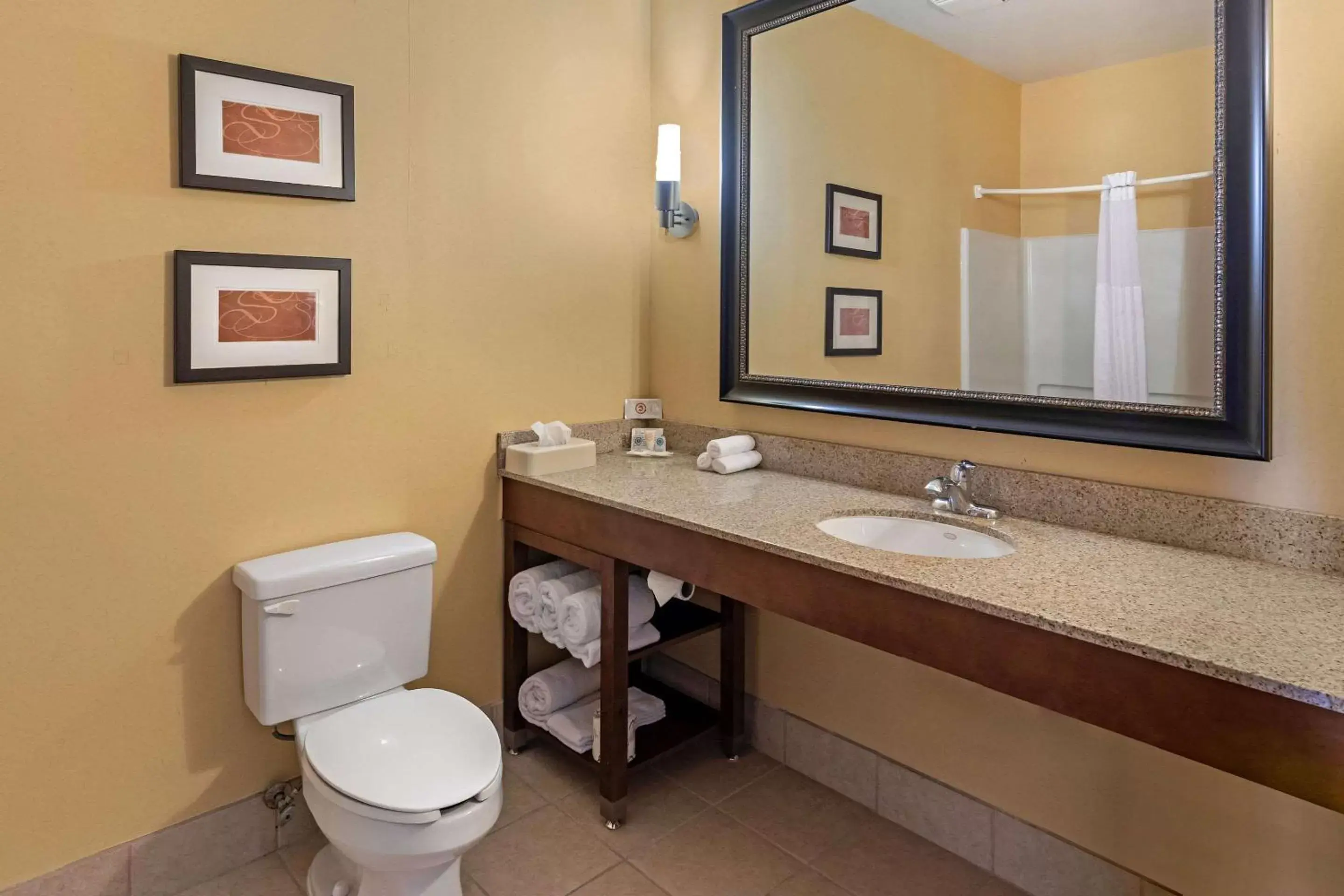 Bathroom in Comfort Suites McKinney-Allen