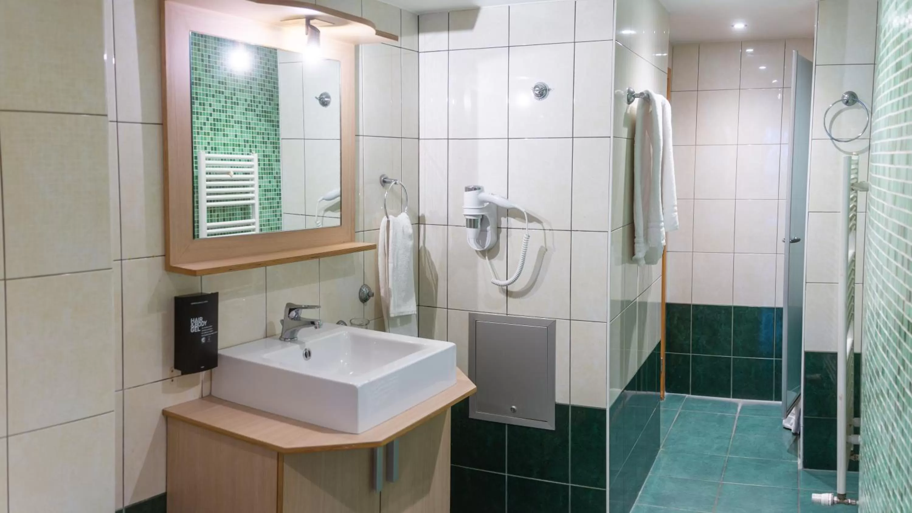 Shower in Wellness Apart Hotel