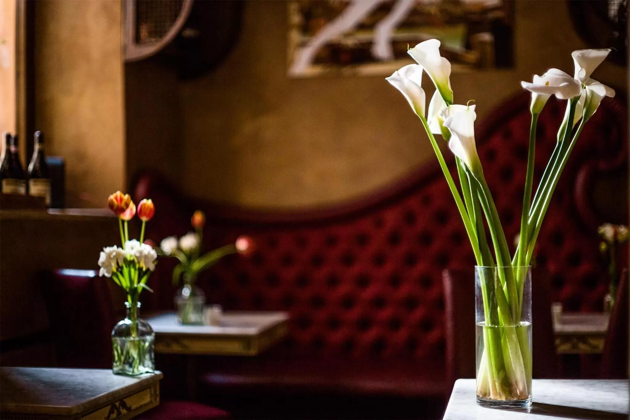 Restaurant/places to eat in Casa De' Fiori