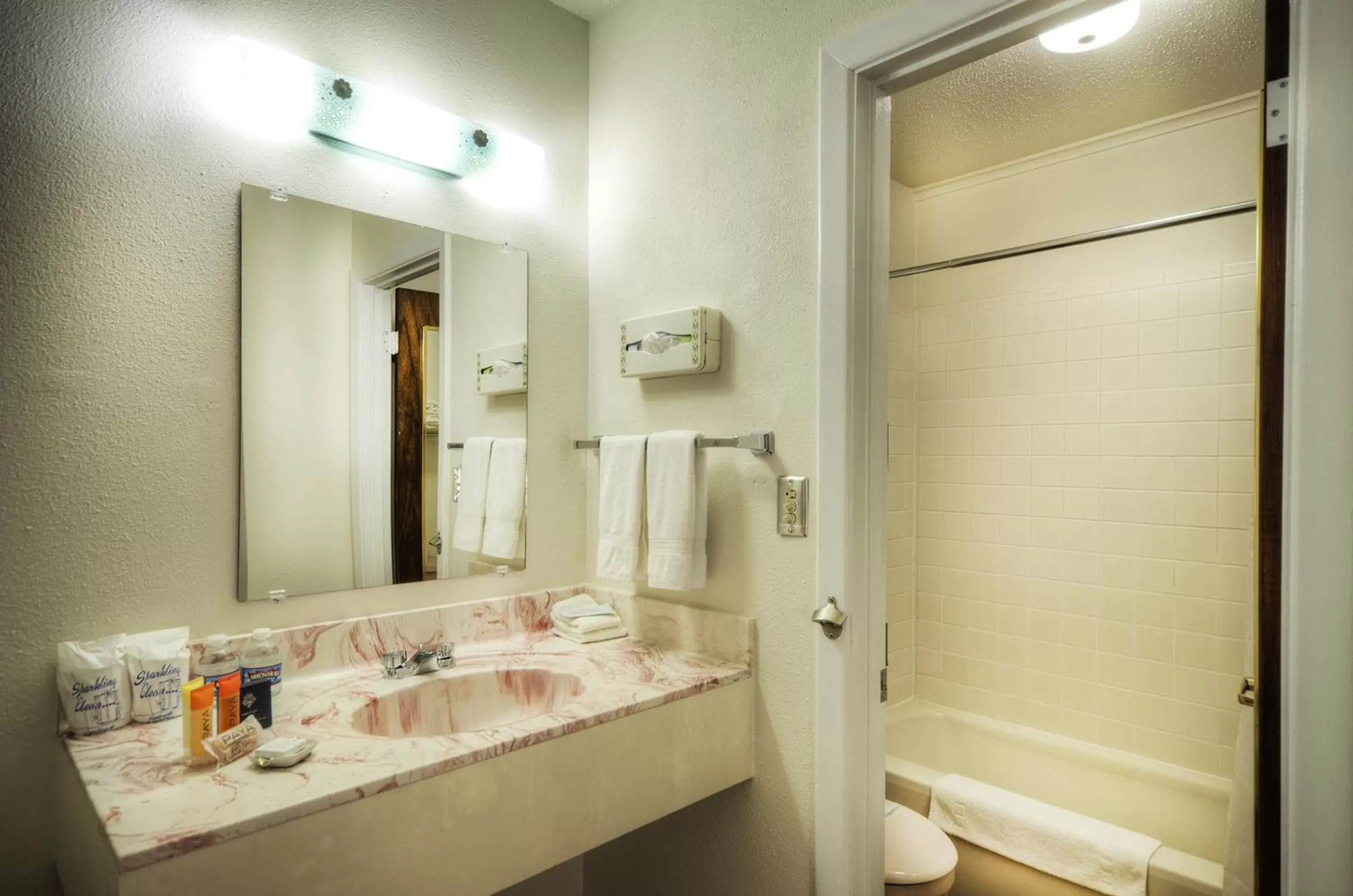 Shower, Bathroom in Roadrunner Lodge Motel