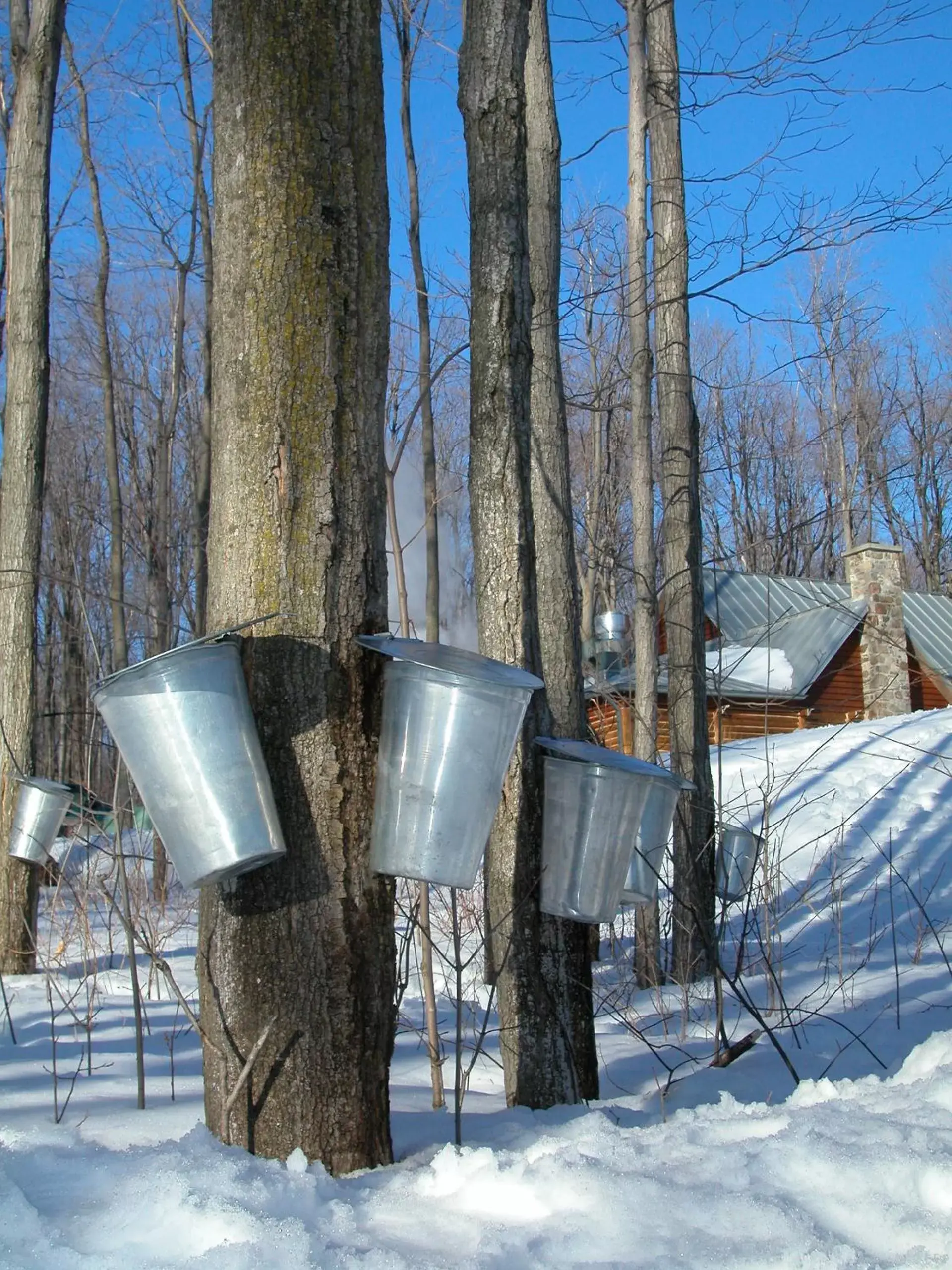 Nearby landmark, Winter in Auberge des Gallant