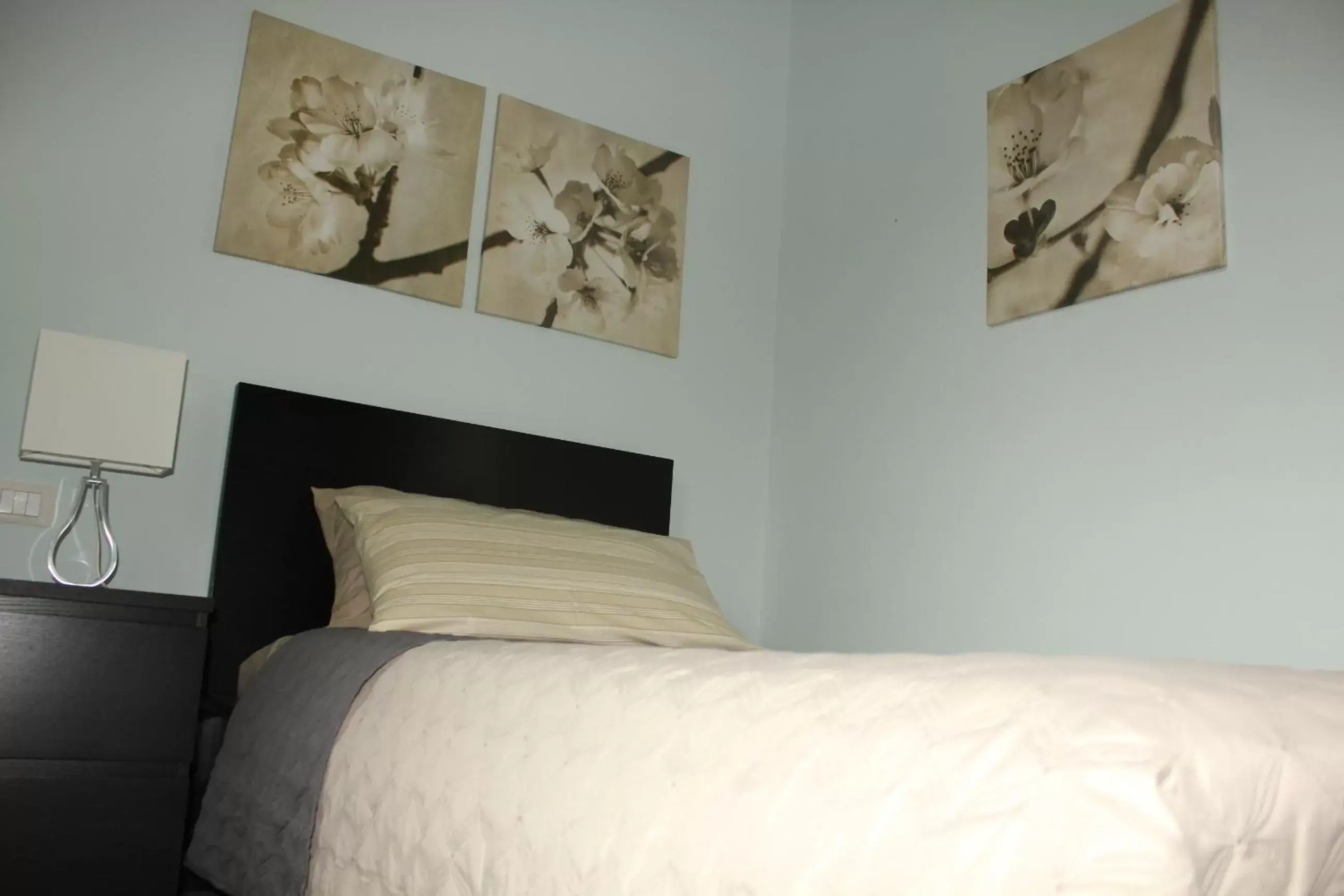 Single Room with Shared Bathroom - single occupancy in B&B Il Giardino In Città - Parcheggio Privato Gratuito Single Room with Shared Bathroom - single occupancy in B&B Il Giardino In Città - Parcheggio Privato Gratuito