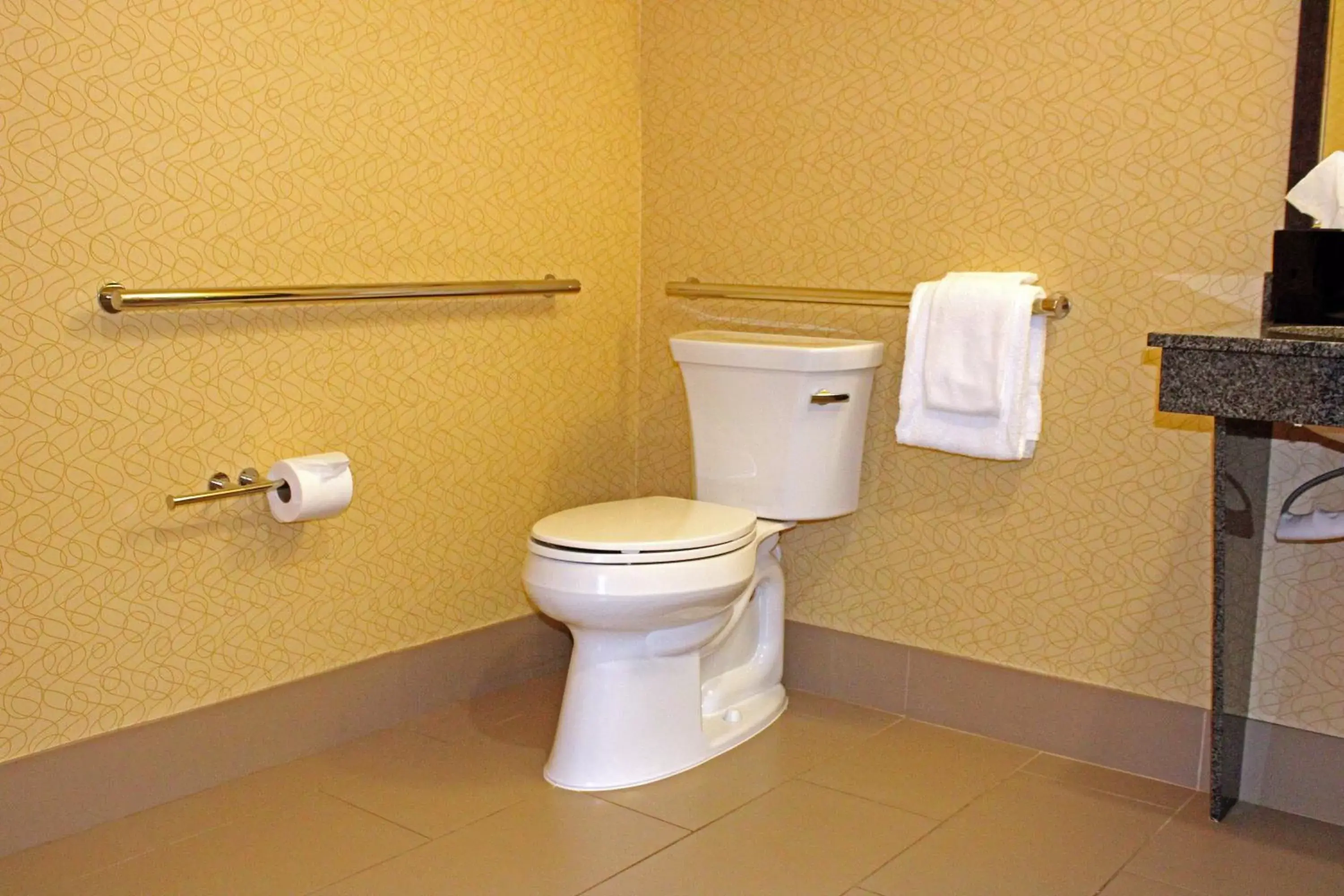 Photo of the whole room, Bathroom in Holiday Inn Express & Suites Bakersfield Airport, an IHG Hotel