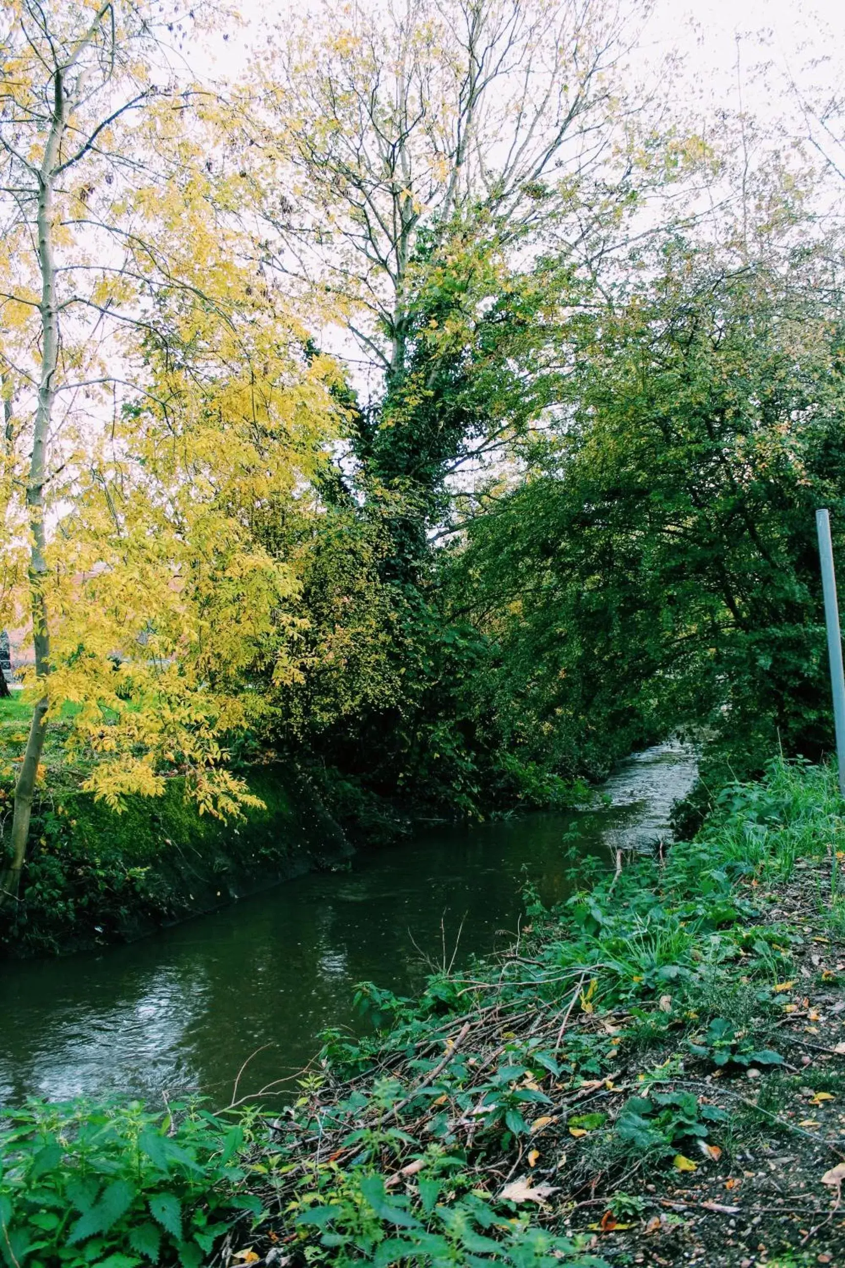 River view in Lancaster Hotel River view in Lancaster Hotel