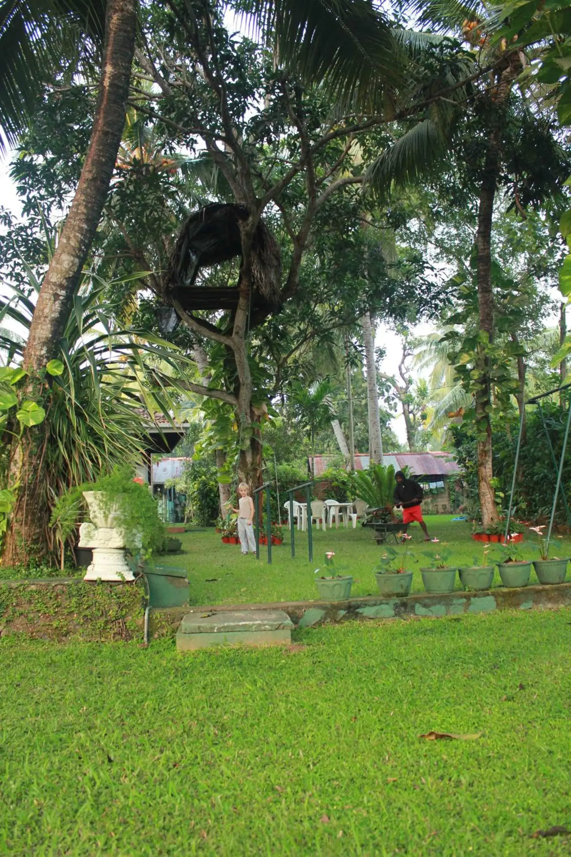 Bird's eye view, Garden in Villa Shade