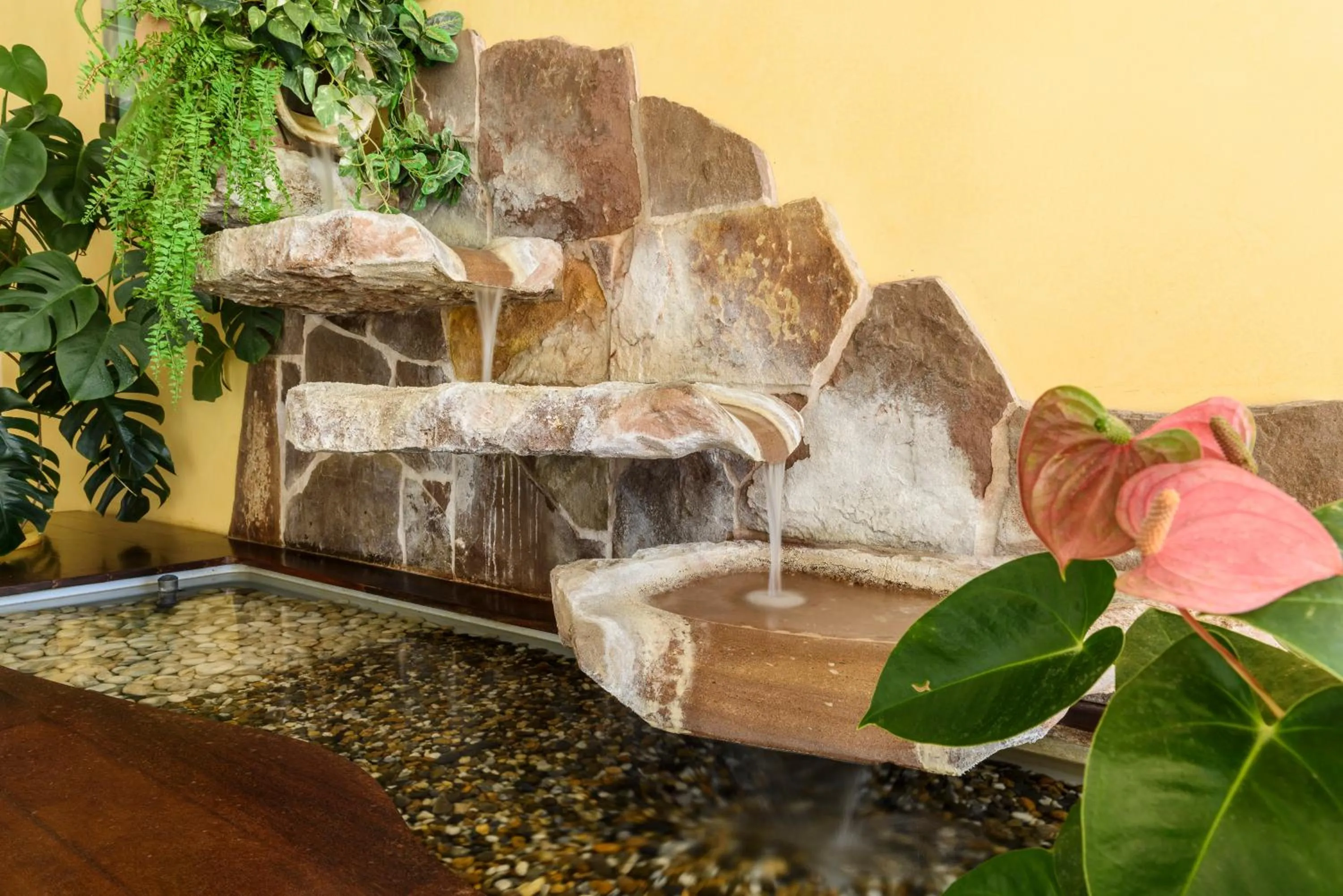 Area and facilities in Résidence Espace Thermal