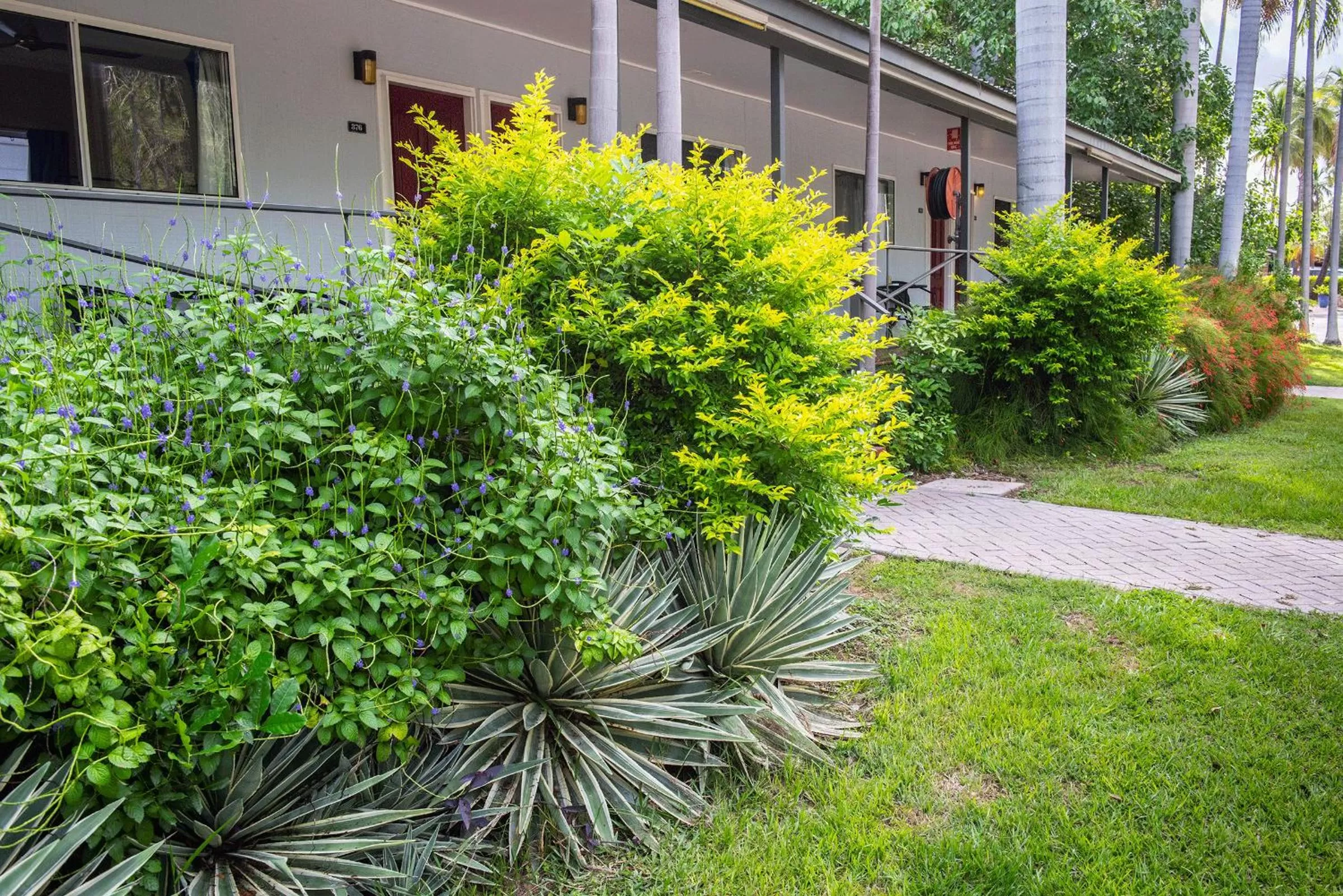 Knotts Crossing Resort