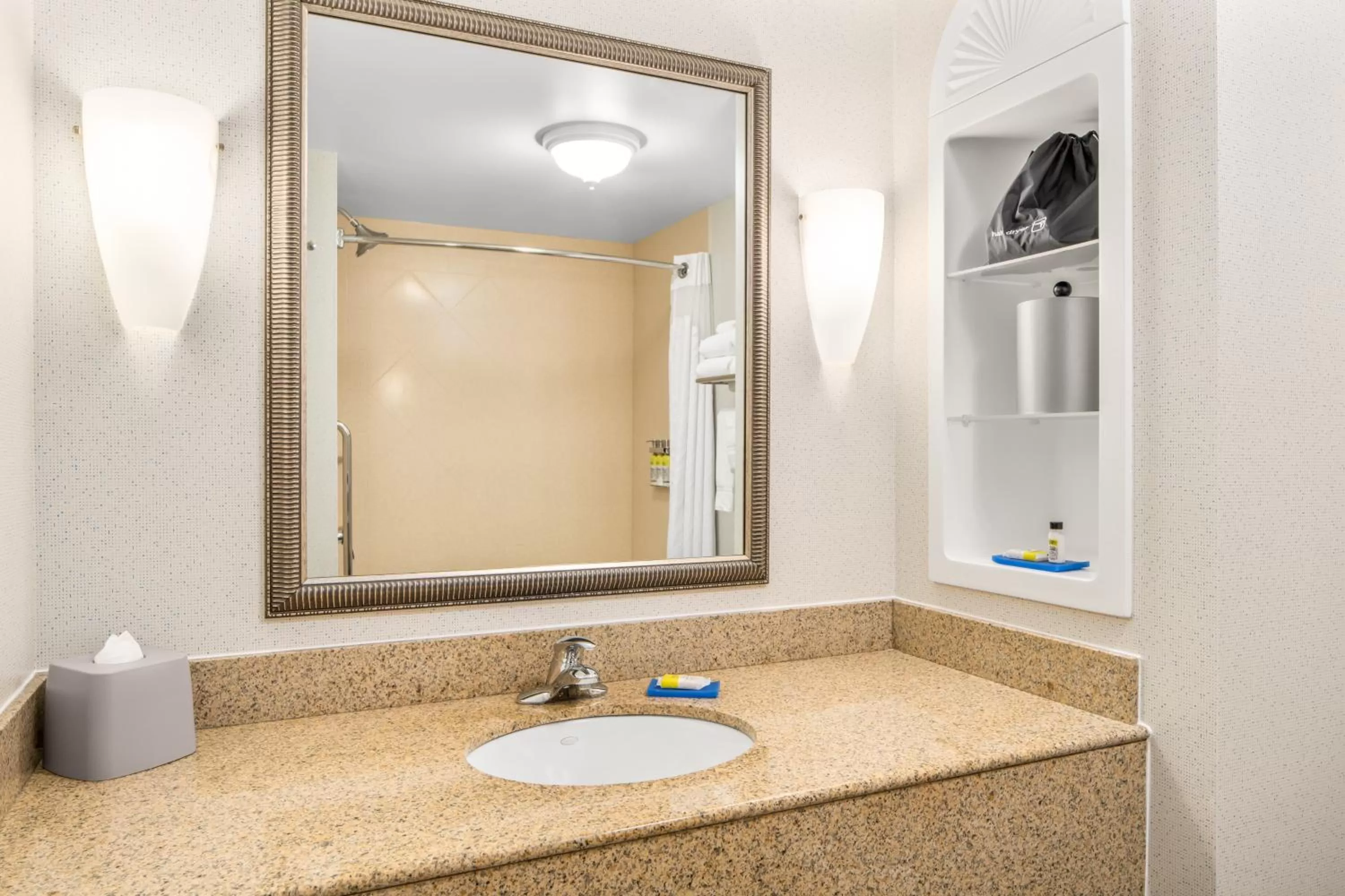 Bathroom in Holiday Inn Express & Suites Wilmington-Newark by IHG