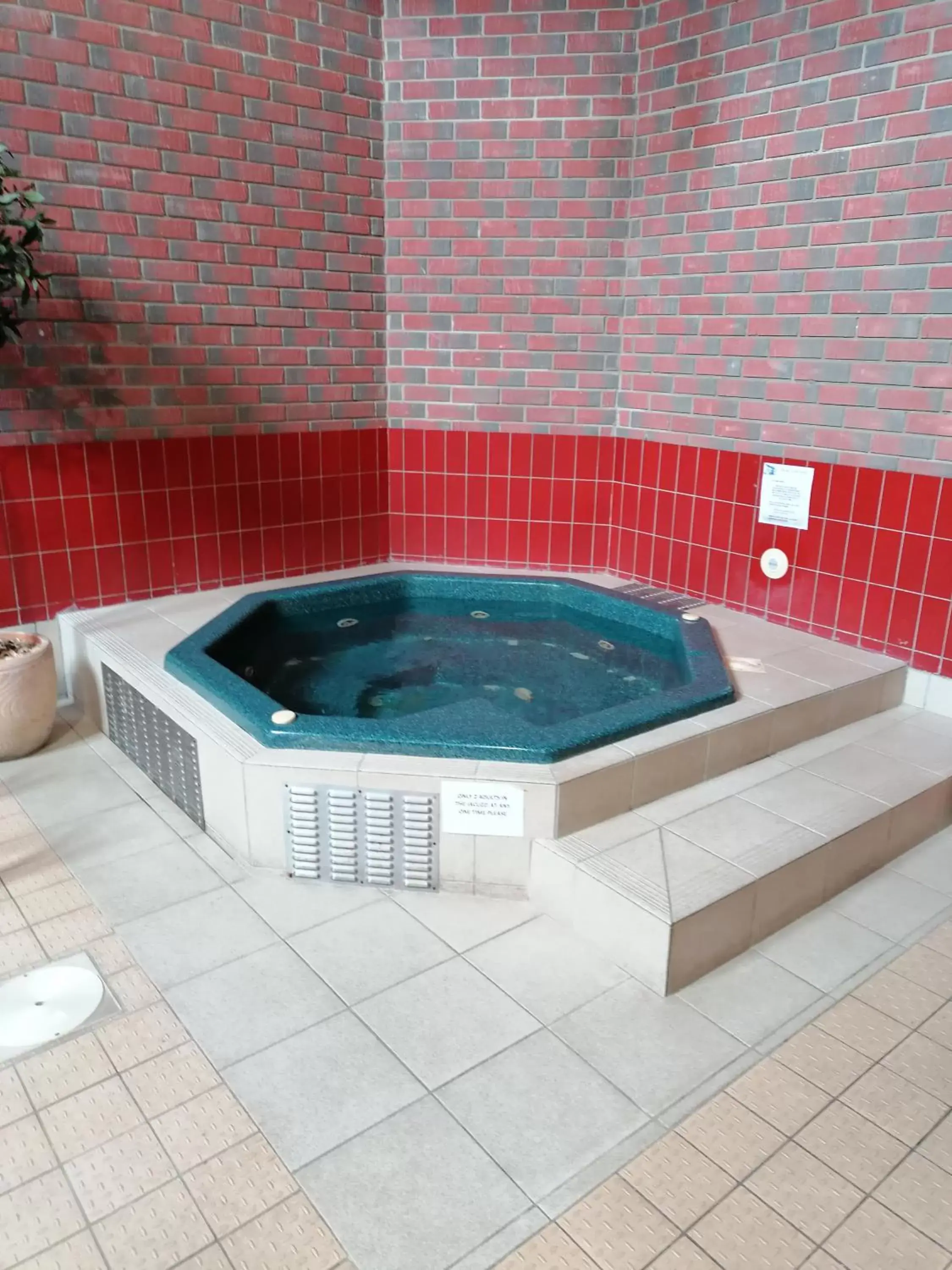 Hot Tub, Swimming Pool in The Royal Lion Hotel