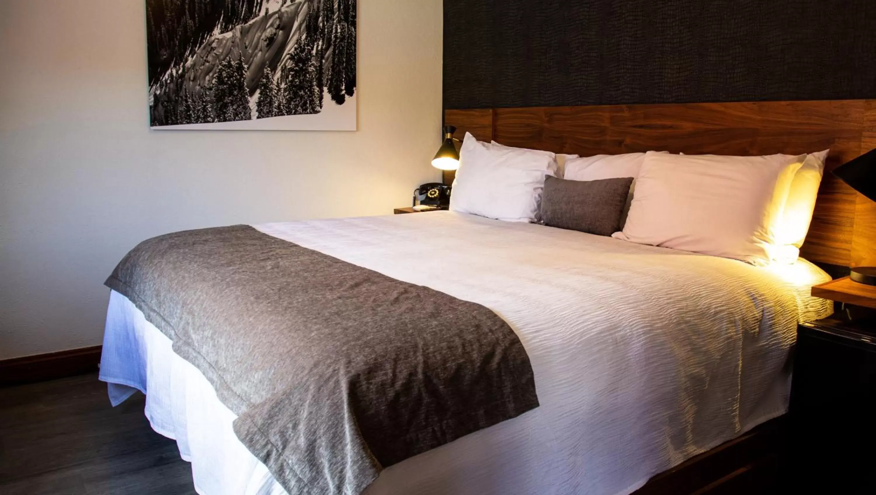 King Pet-Friendly Room in The Bristol Hotel King Pet-Friendly Room in The Bristol Hotel