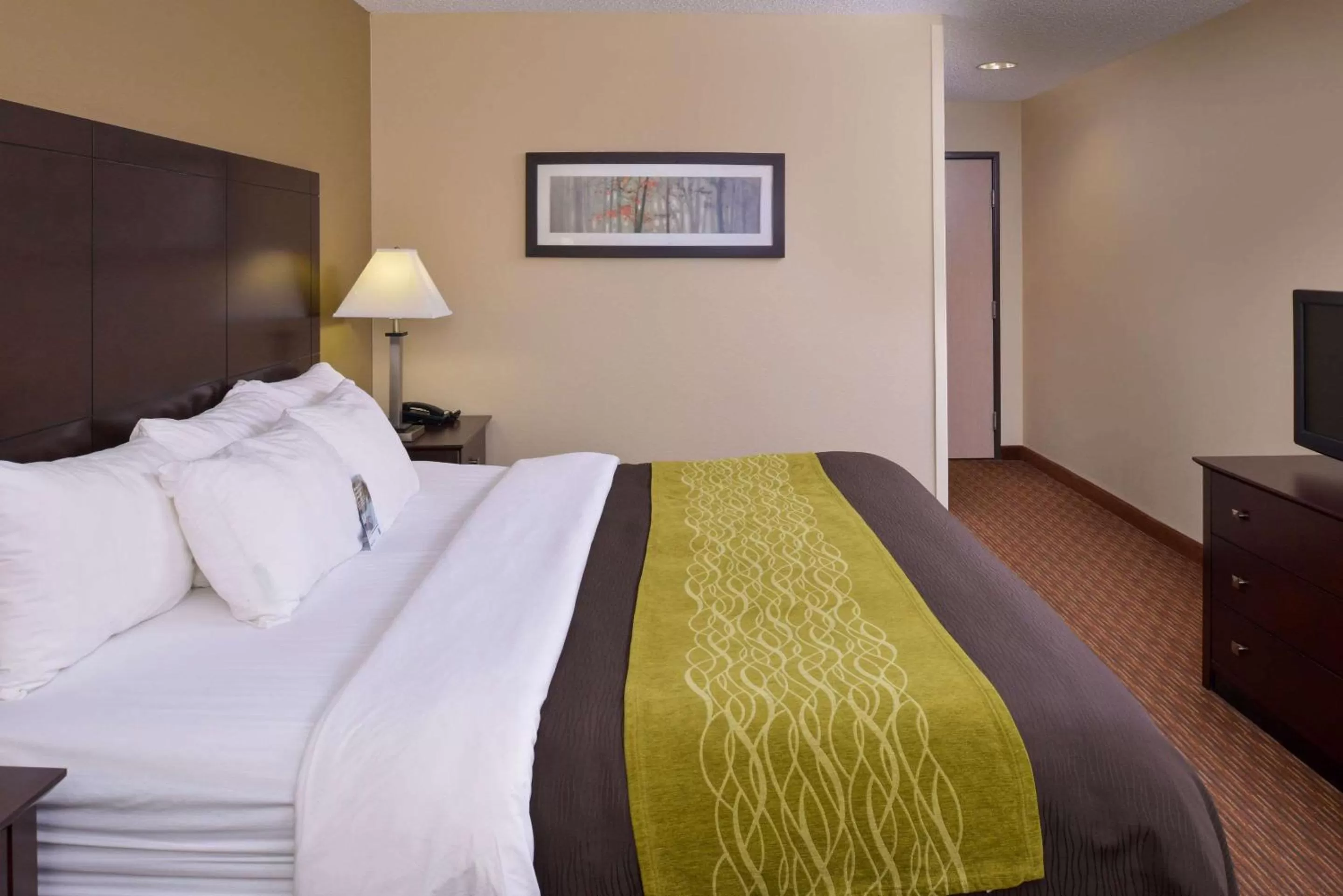 Photo of the whole room, Bed in Holiday Inn Express & Suites Joplin Southeast by IHG