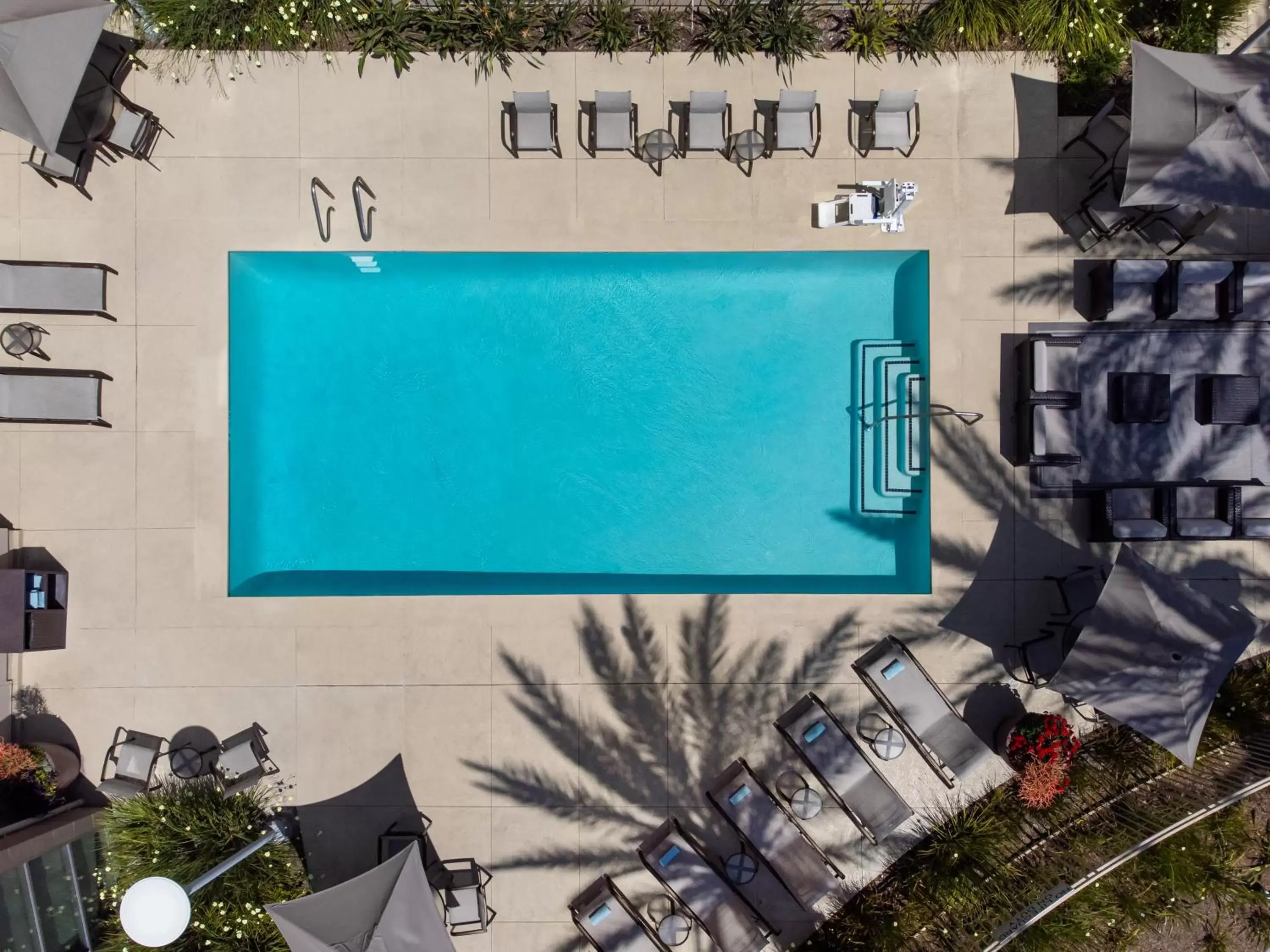 Swimming pool, Pool View in Courtyard by Marriott Santa Ana Orange County