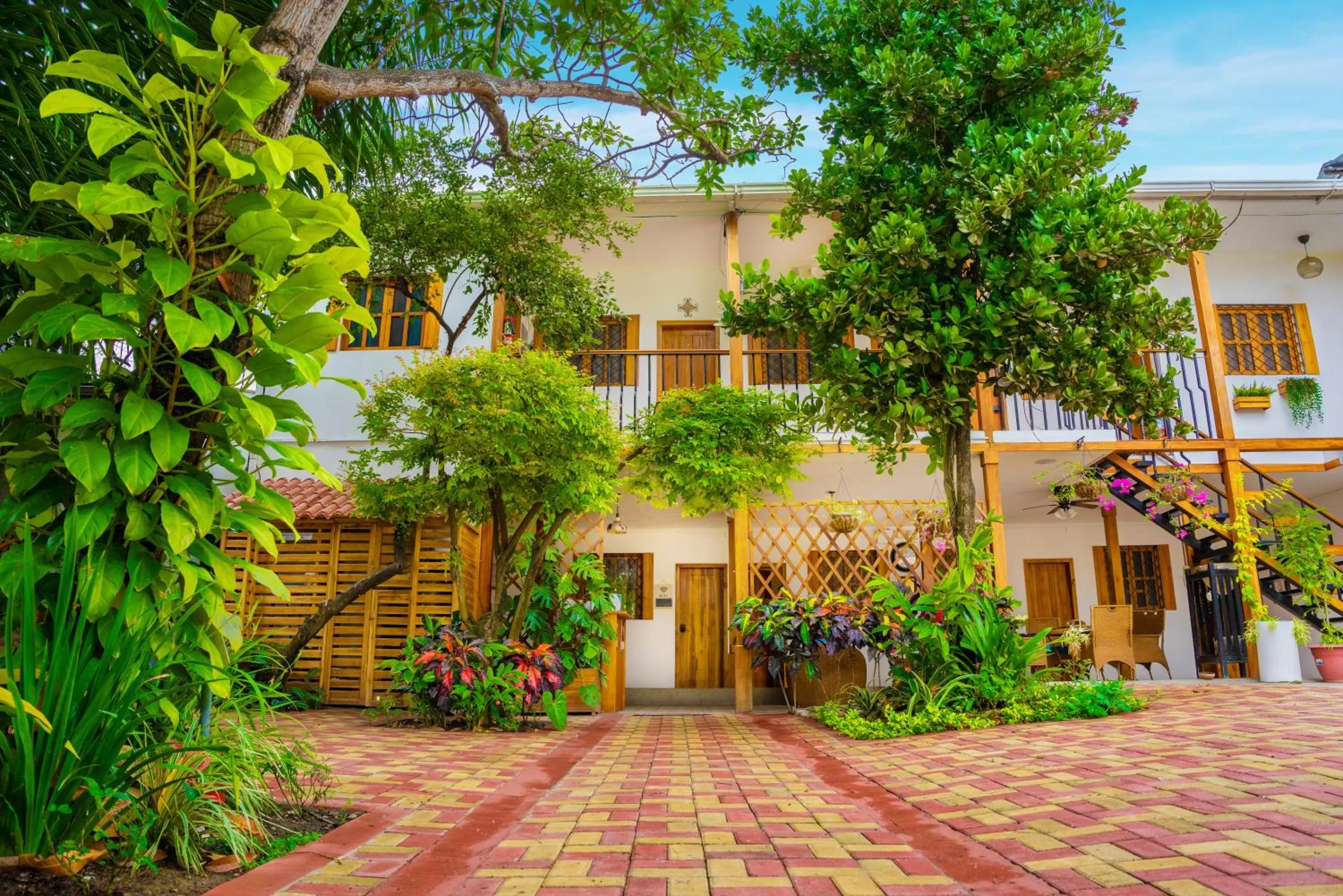 Garden in Hotel Boutique Platanal
