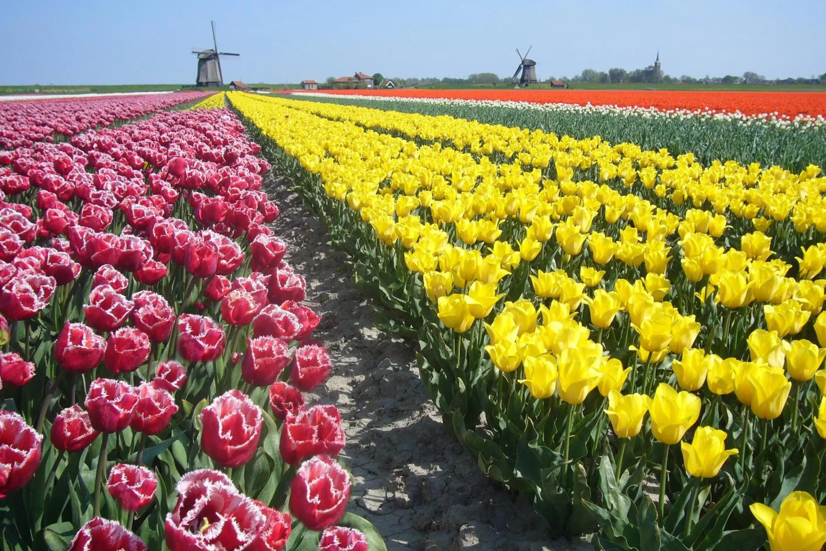 Neighbourhood in Hotel Alkmaar