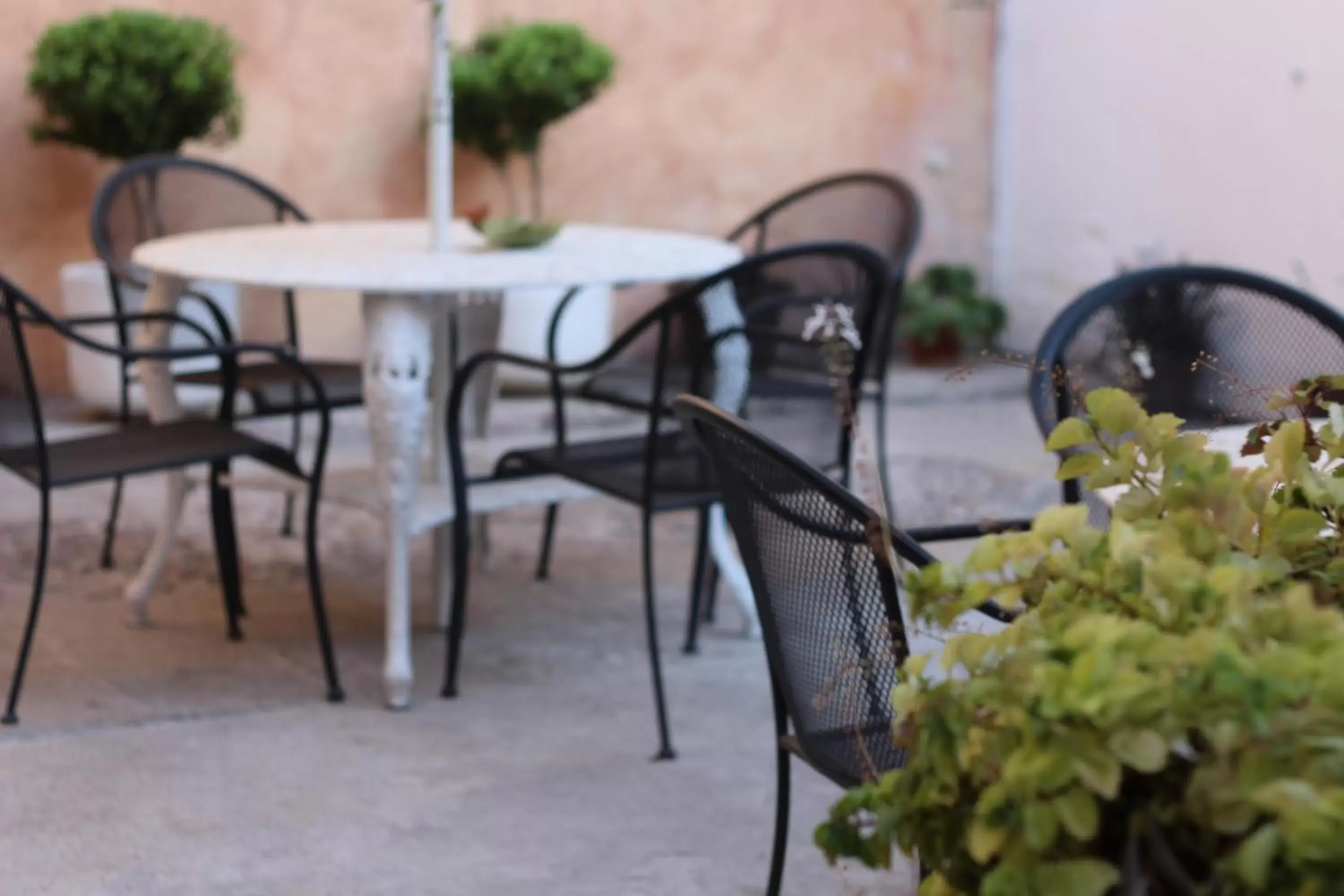 Patio/Outdoor Area in Hotel Punto 79