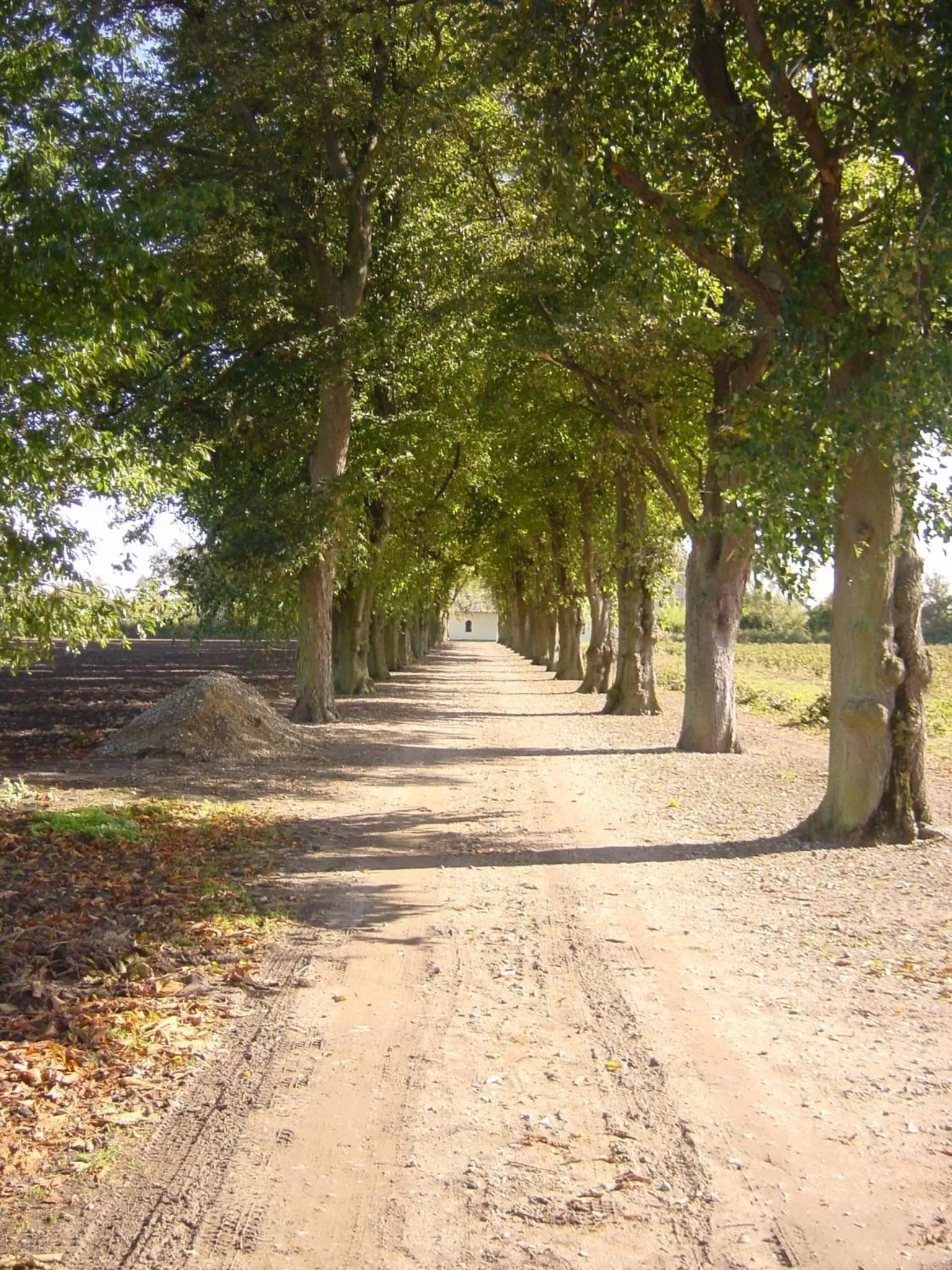Decorative detail in Åløkke BnB