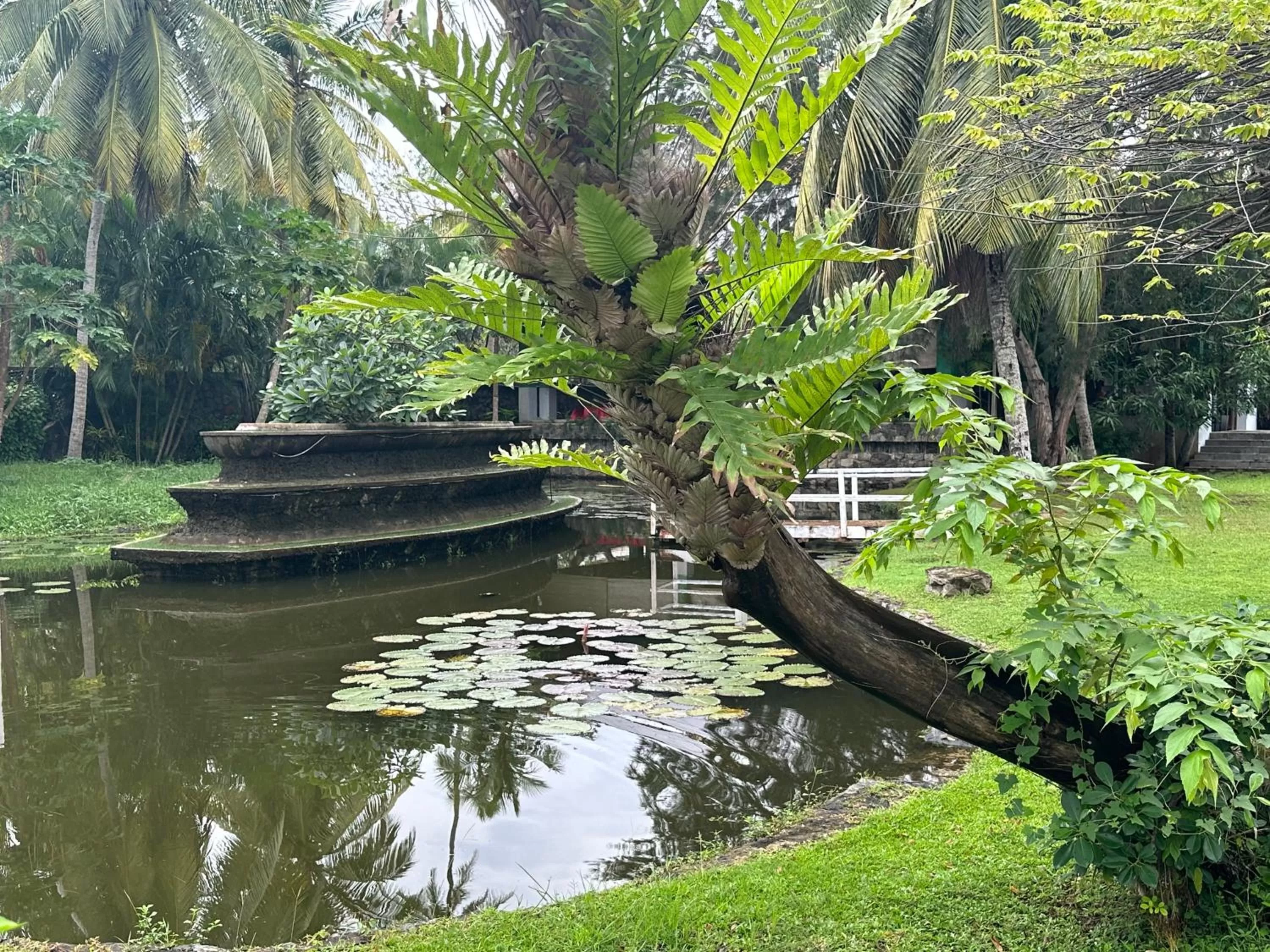 Garden view in Amaluna Resorts