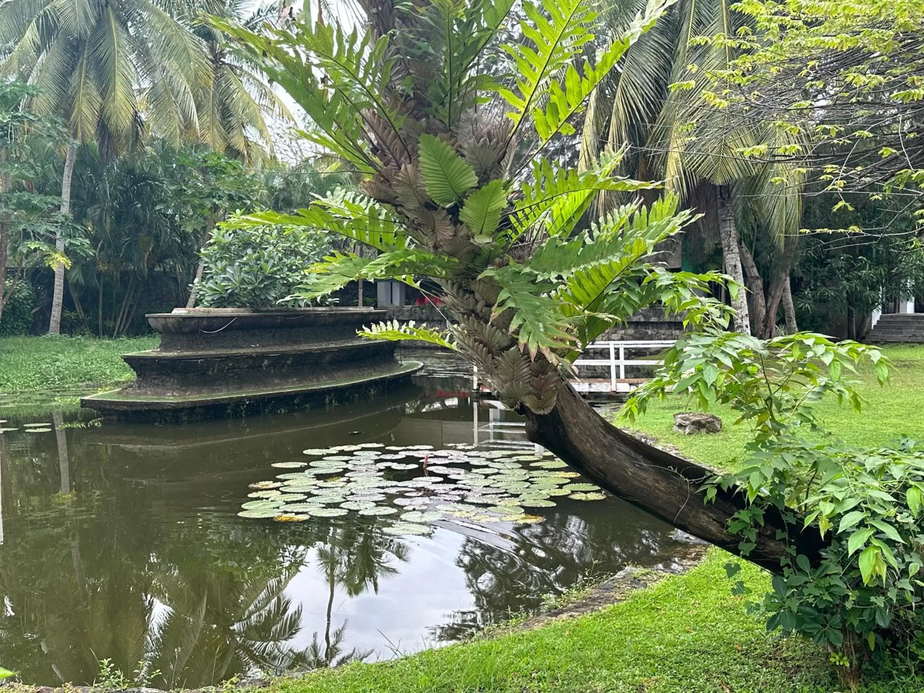Garden view in Amaluna Resorts Garden view in Amaluna Resorts