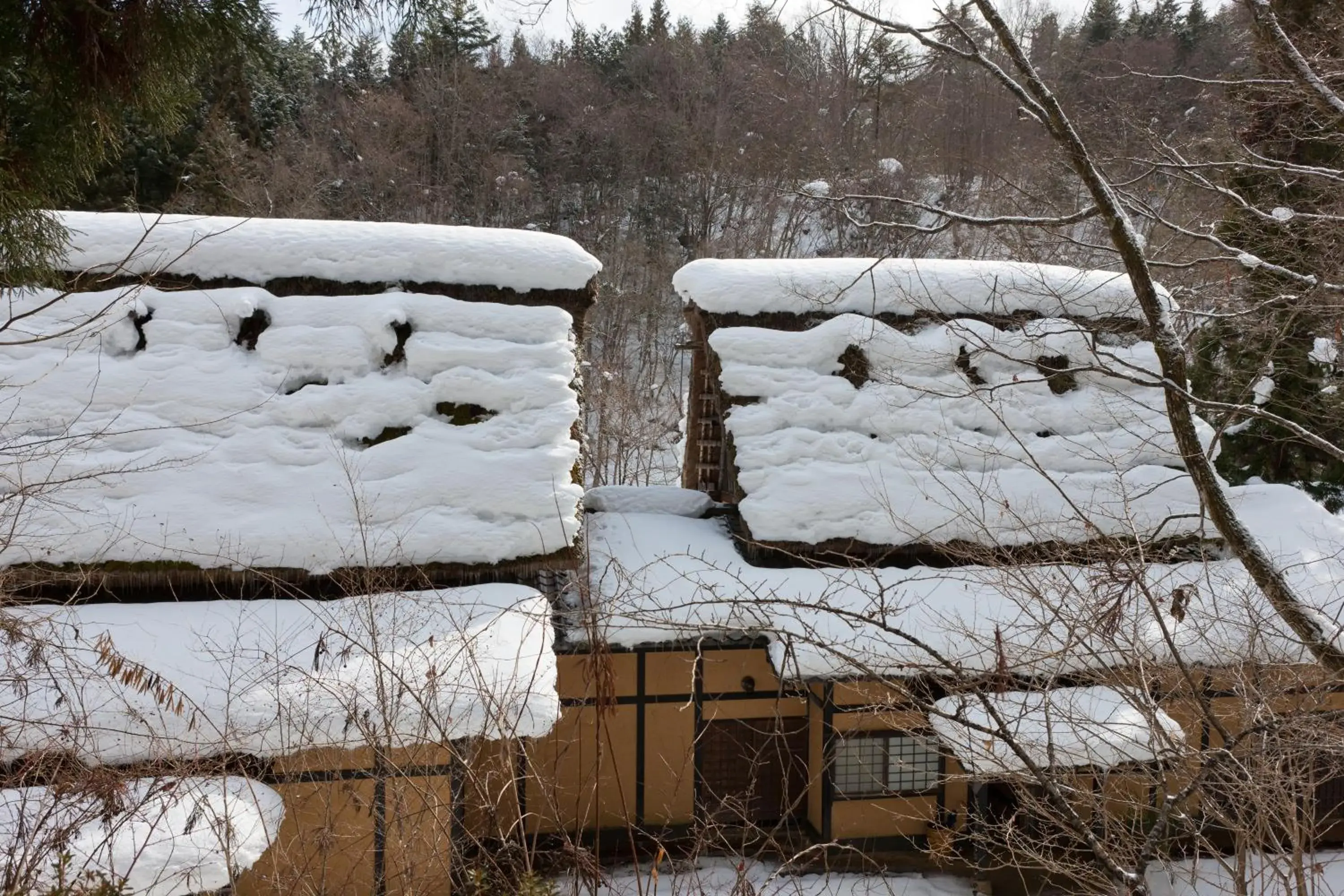 Winter in Wanosato Ryokan