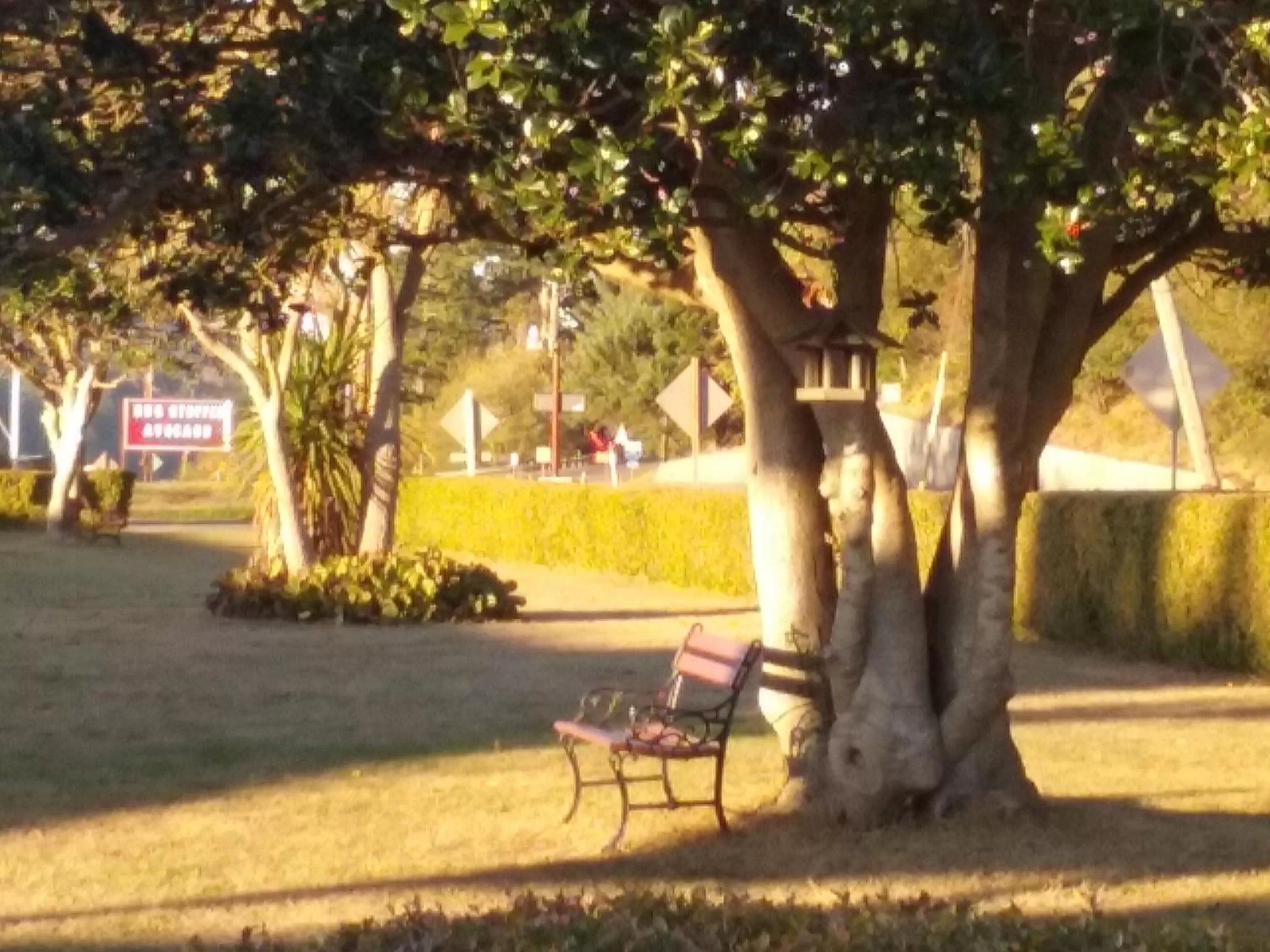 Area and facilities in Bay Bridge Motel