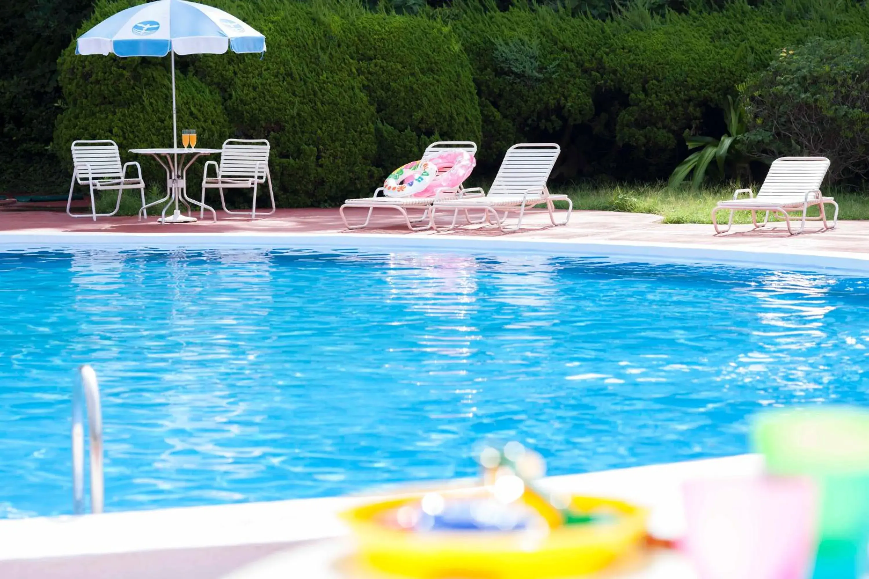 Activities, Swimming Pool in Shimoda Prince Hotel