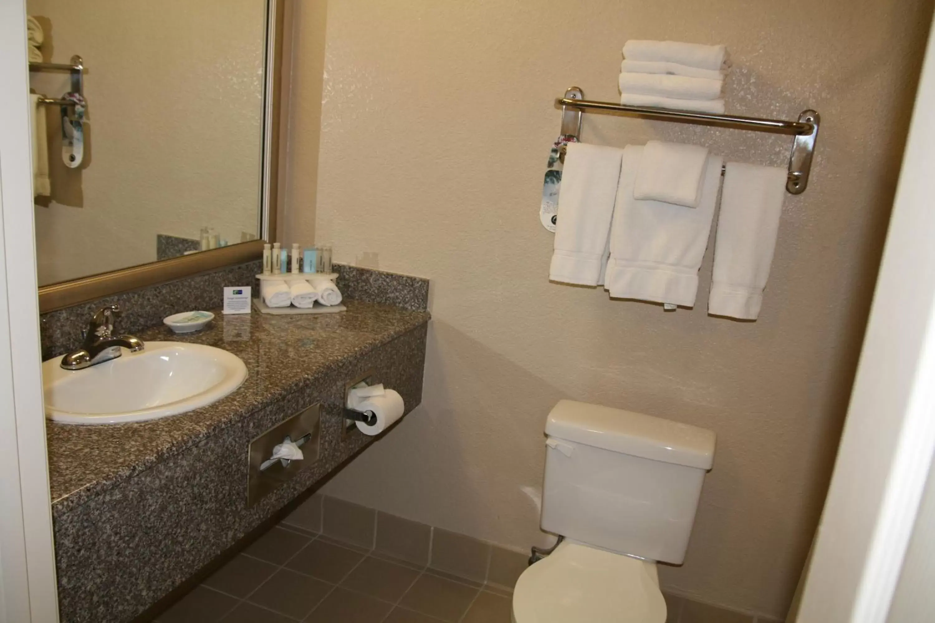 Bathroom in Holiday Inn Express Hotel Union City San Jose, an IHG Hotel