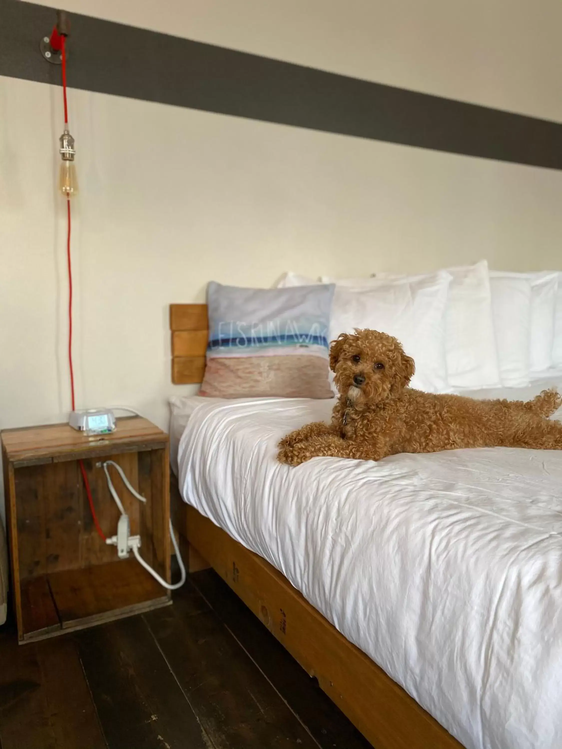 Bed in Ashore Hotel Bed in Ashore Hotel