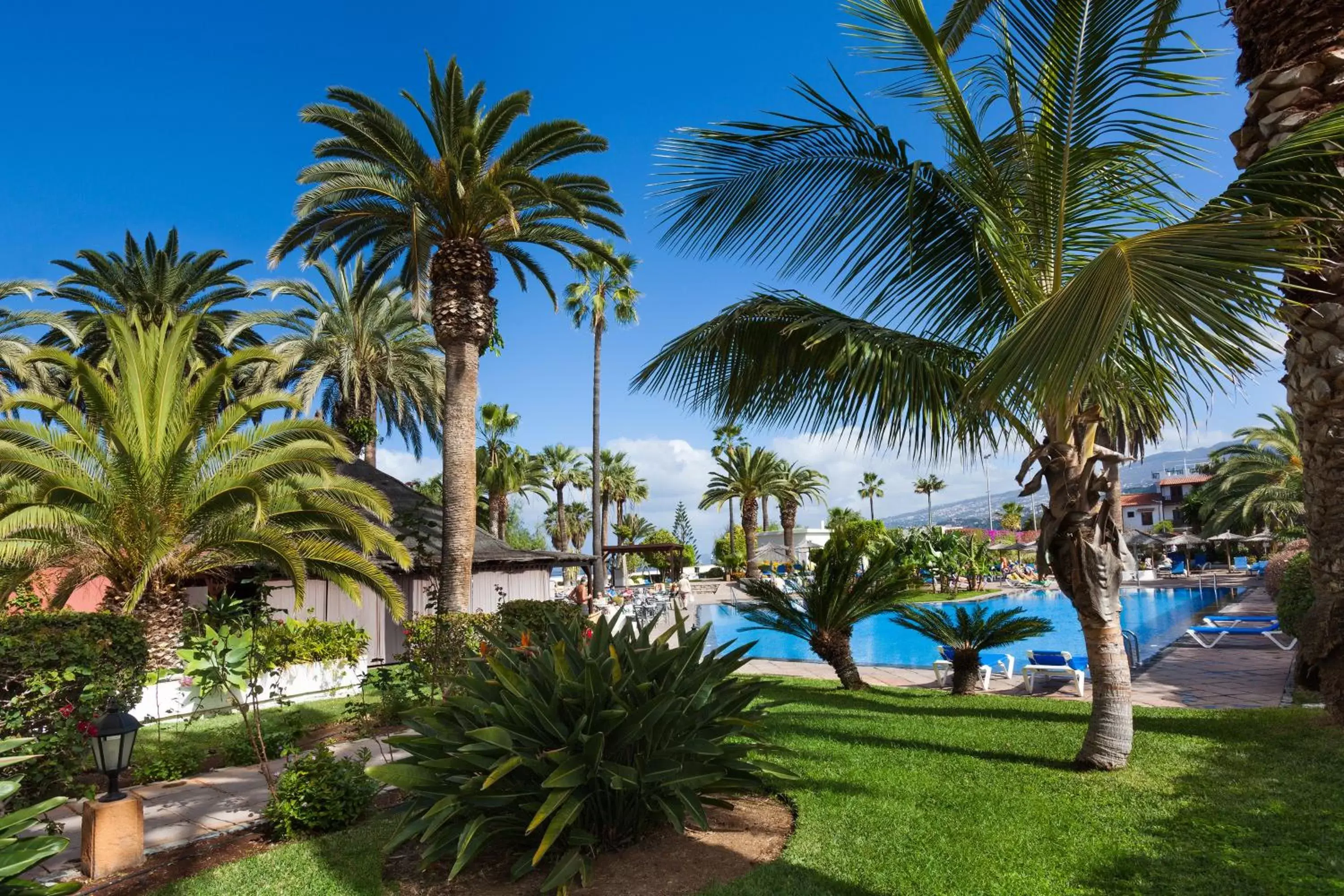 Garden, Swimming Pool in Hotel Blue Sea Interpalace