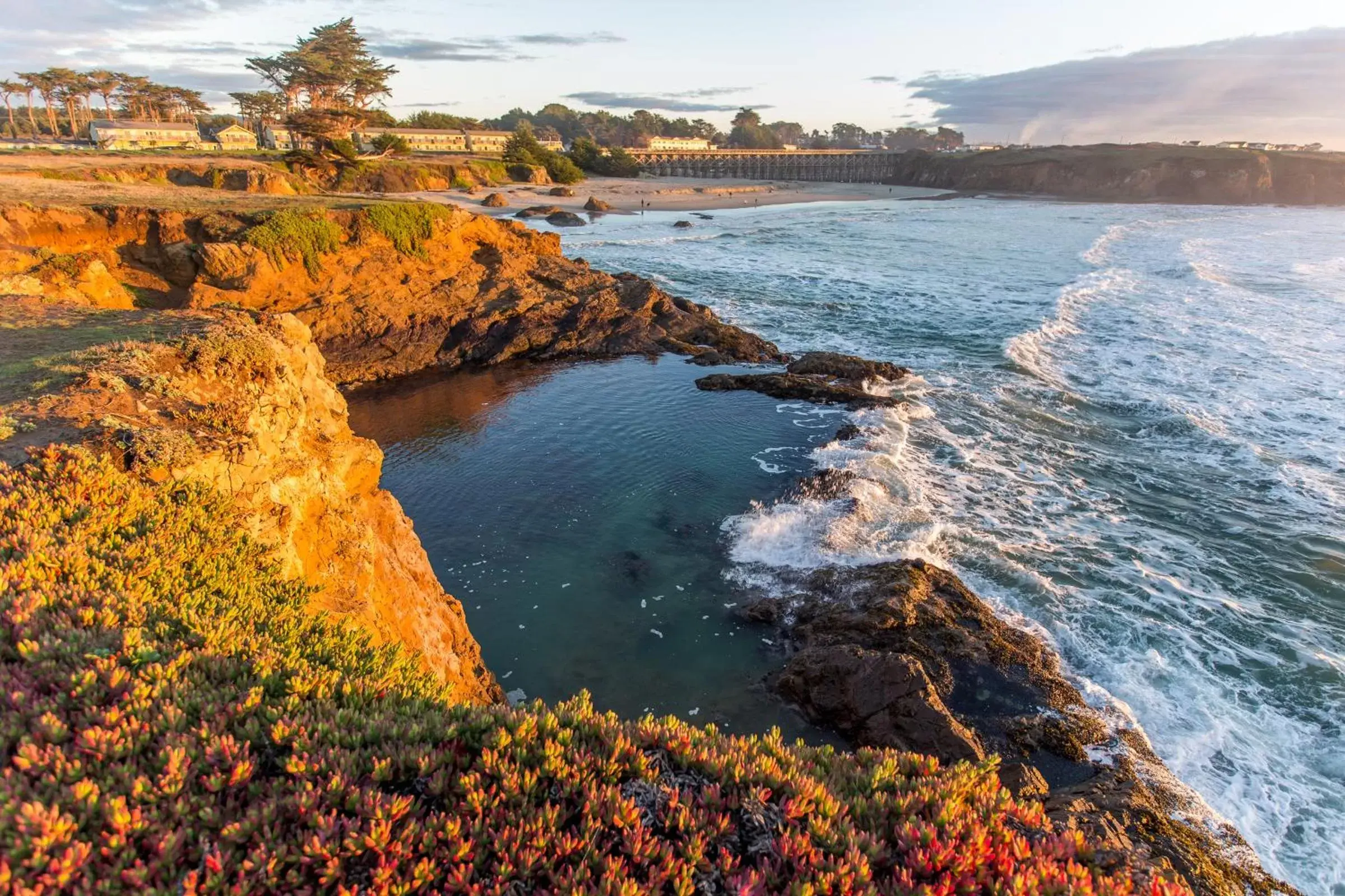 Natural landscape in Beachcomber Motel