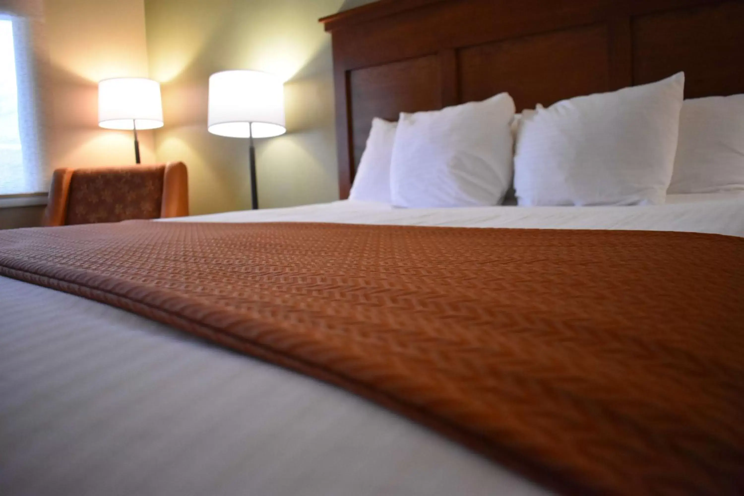 Photo of the whole room, Bed in Best Western Driftwood Inn