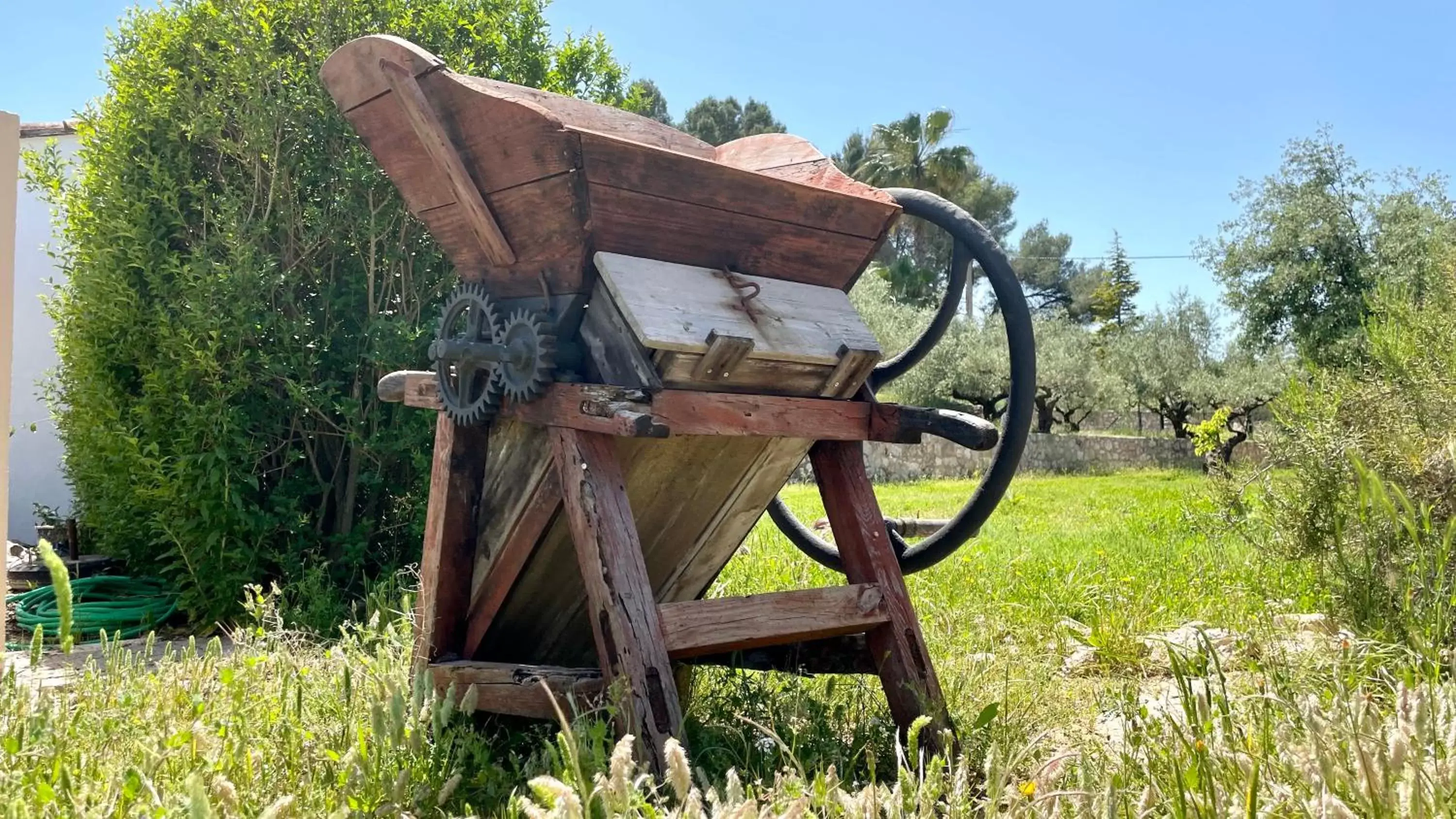 Decorative detail in Finca La Higuera - Boutique B&B