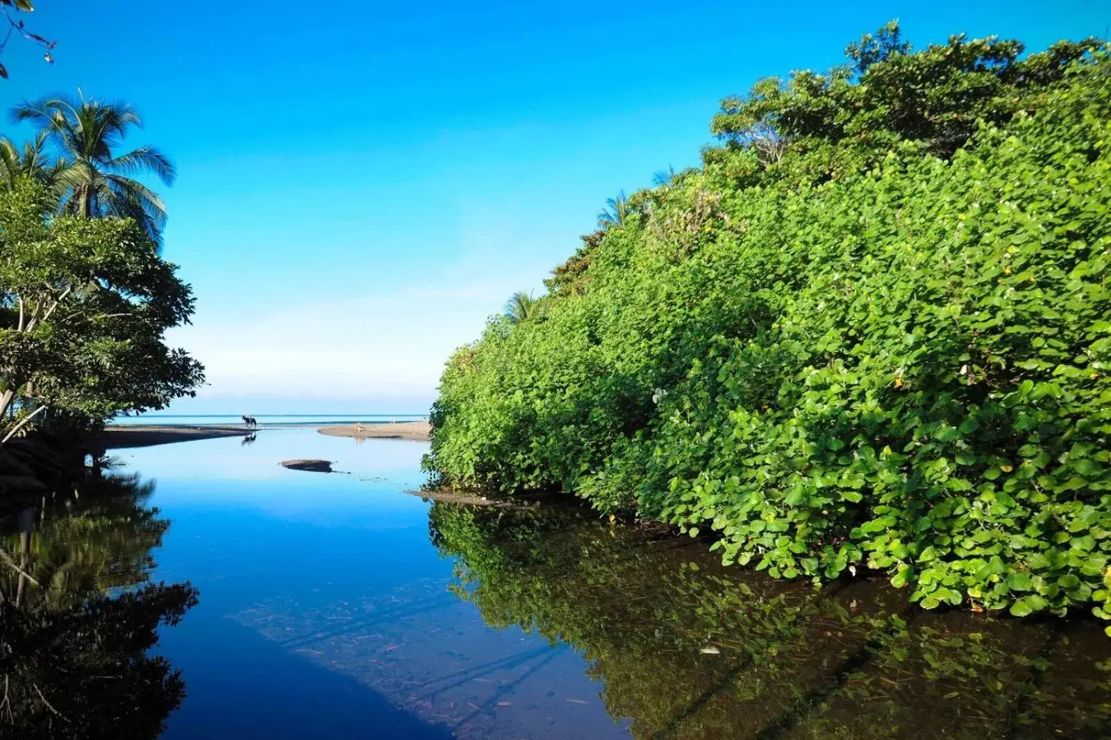 Swimming Pool in Costa Rica Surf Camp by SUPERbrand