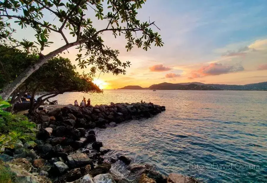 Natural landscape in Ceiba Studios