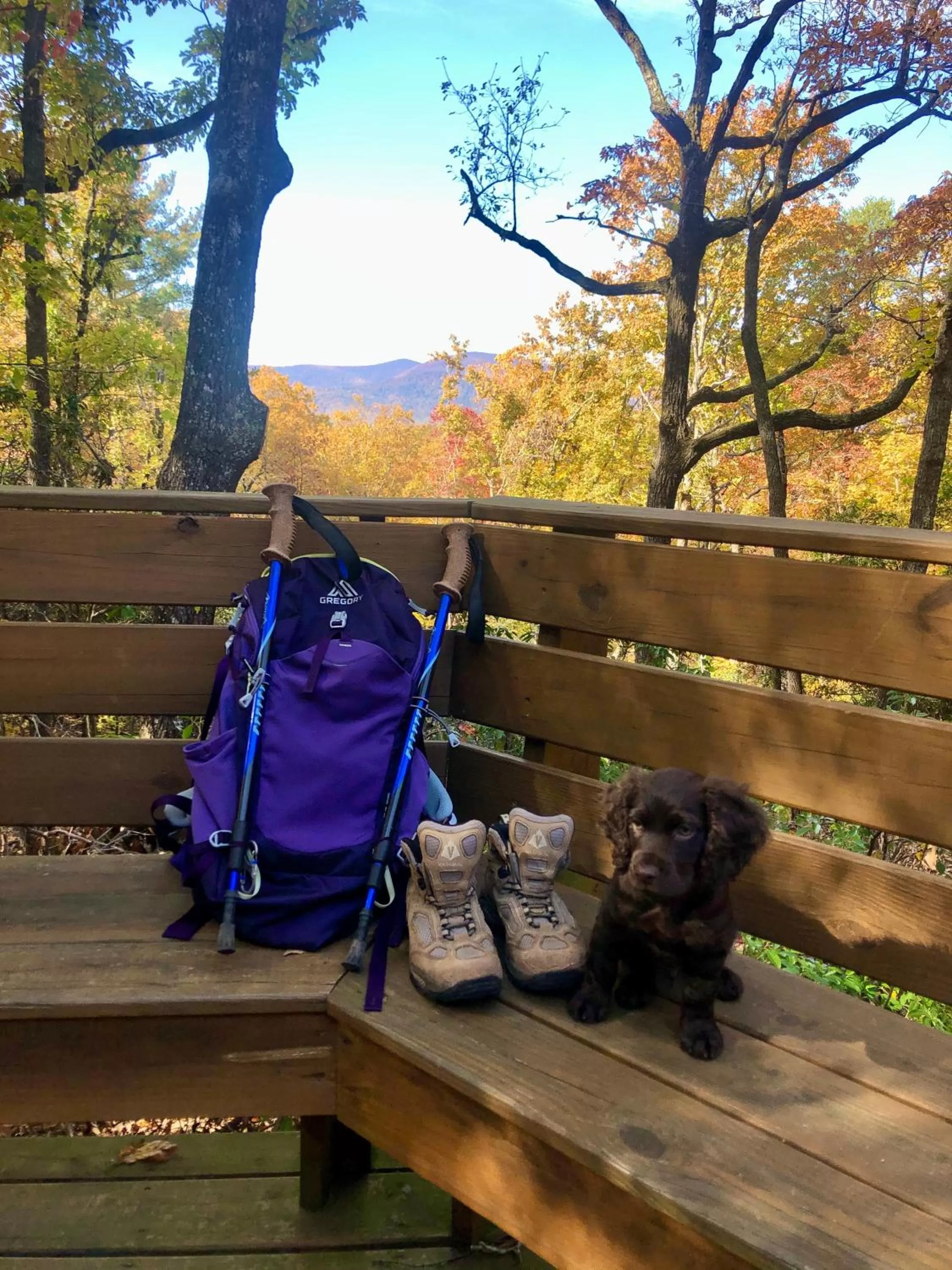 Hiking in Barefoot Hills