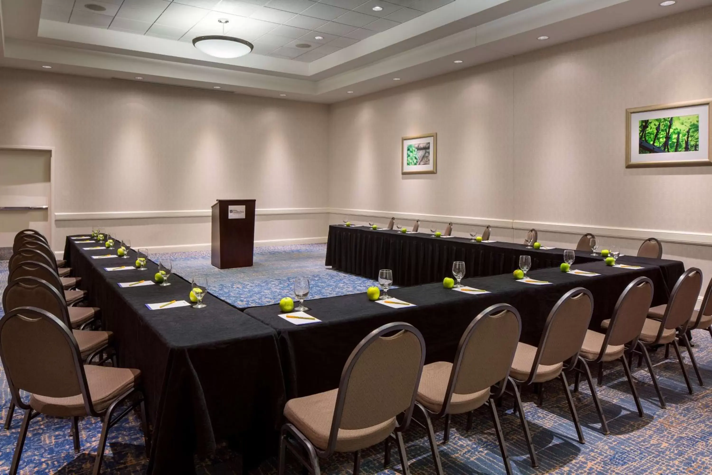 Meeting/conference room in Hilton Garden Inn Denver Downtown