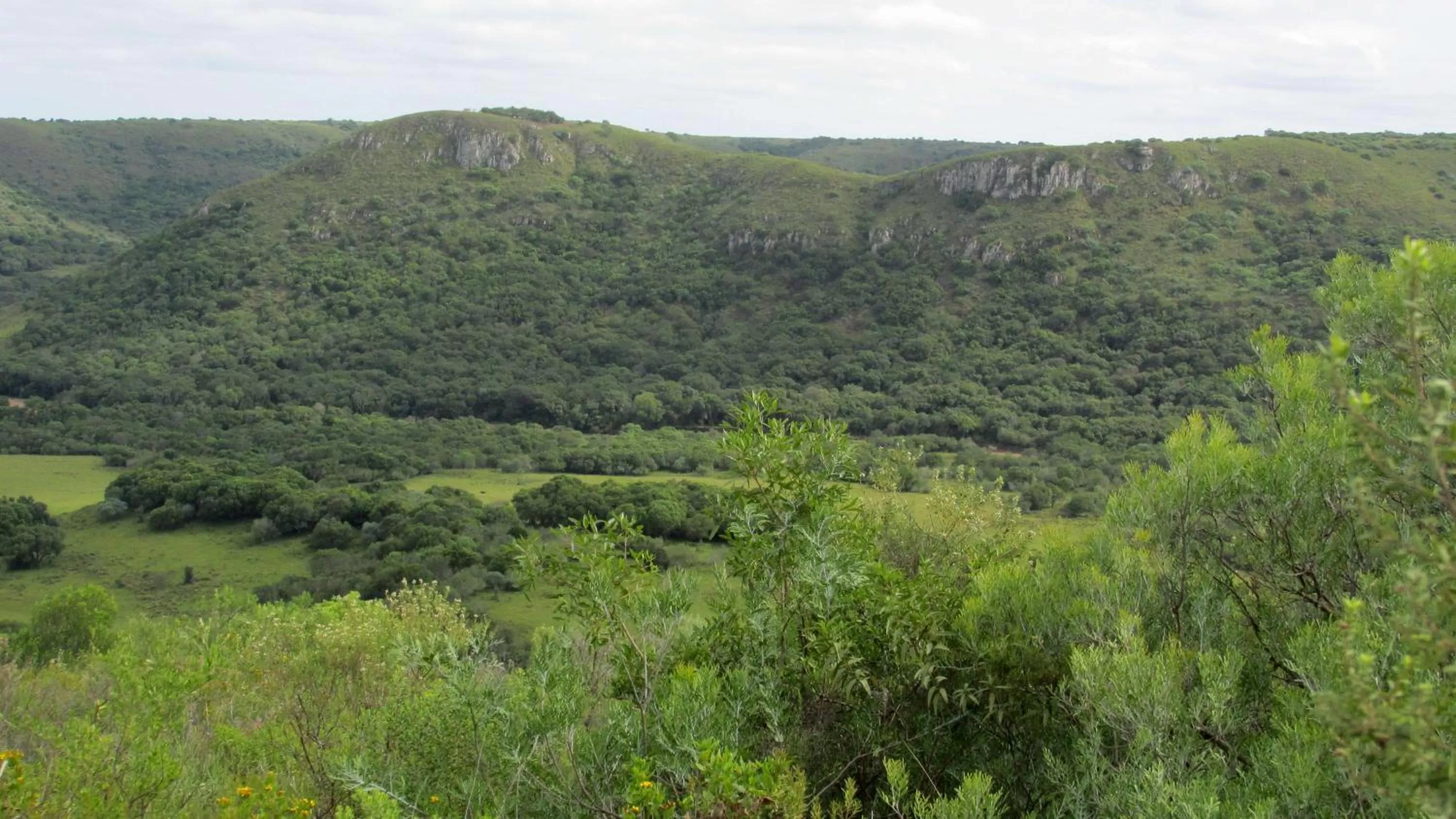 Entertainment in Hostería La Bordona